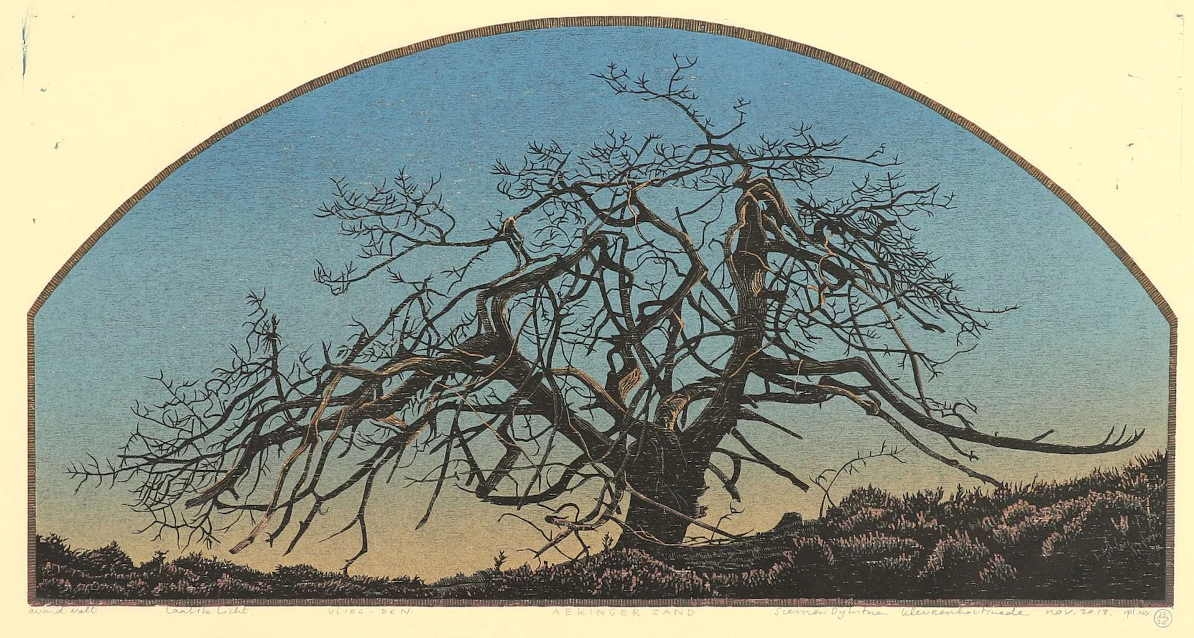 Siemen Dijkstra (1968), ‘Evening falls, last light, flying-den (Aekingerzand)’