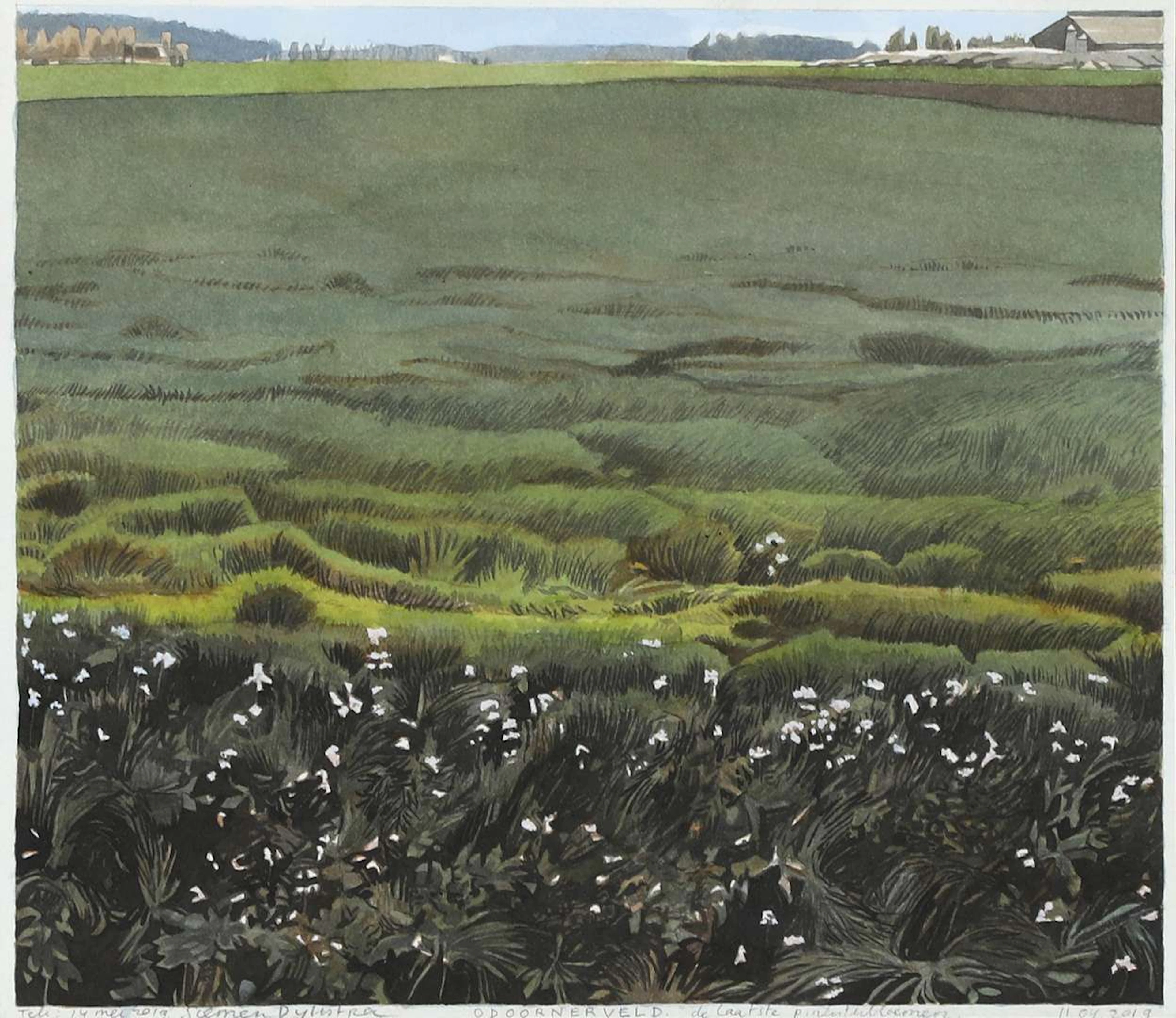 Siemen Dijkstra (1968), ‘Odoornerveld (The Last Cuckoo Flowers)’