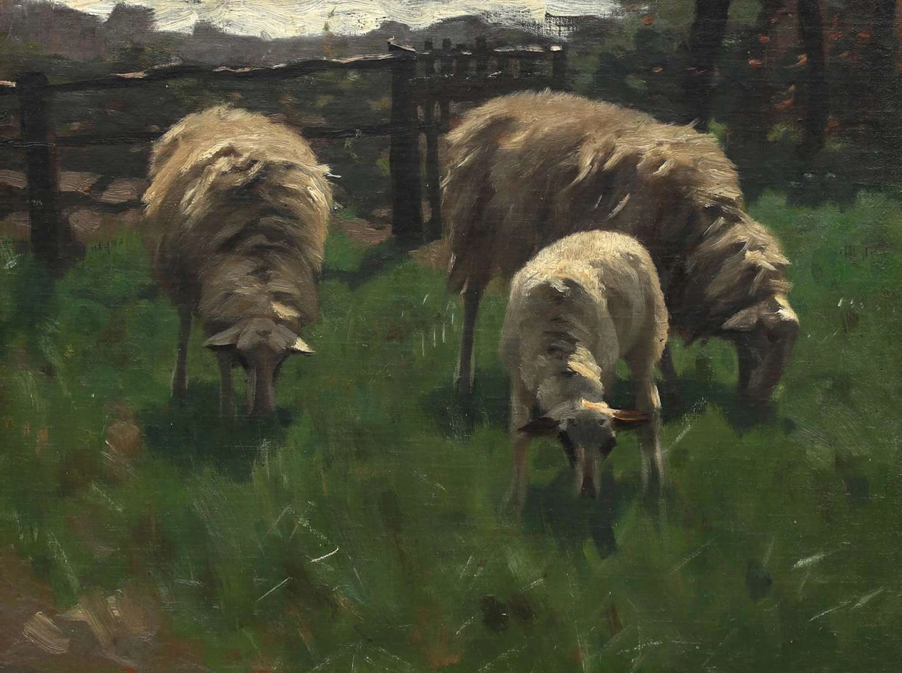 Herman Johannes van der Weele (1852-1930), Grazing sheep in full sunlight