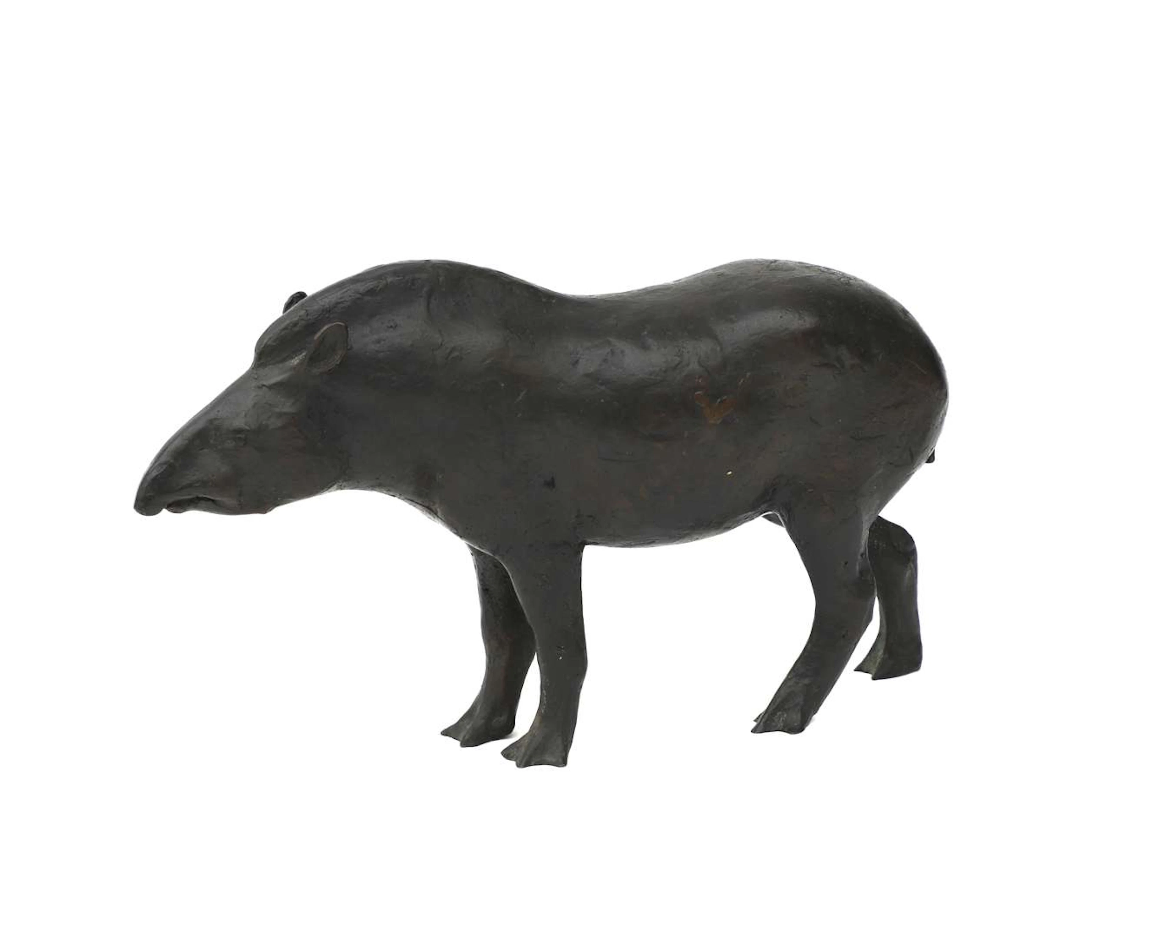 Robbert Jan Donker (1943–2016), Tapir