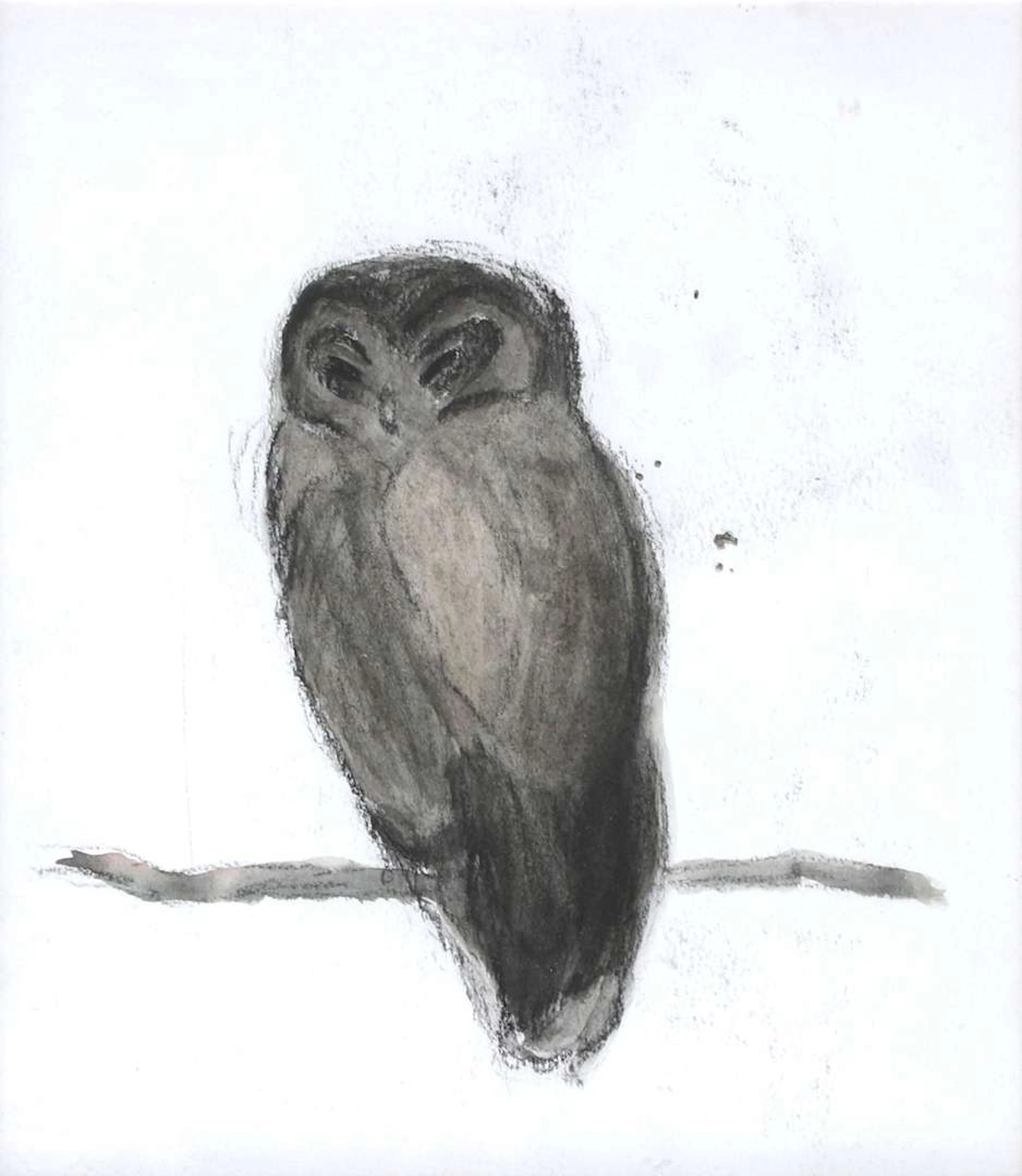 Wouter van Riessen (1967), Owl