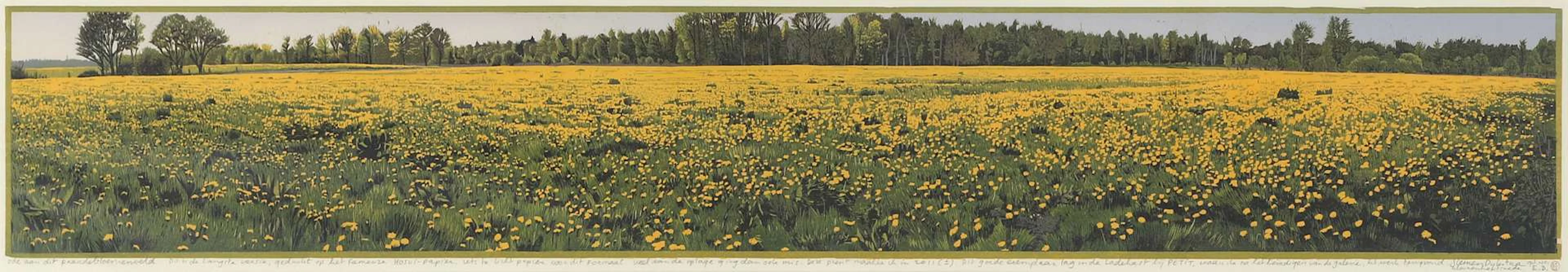 Siemen Dijkstra (1968), ‘Ode to this field of dandelions’