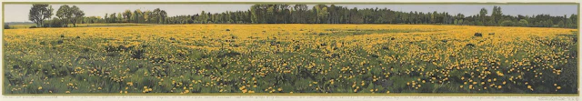 Siemen Dijkstra (1968), ‘Ode to this field of dandelions’