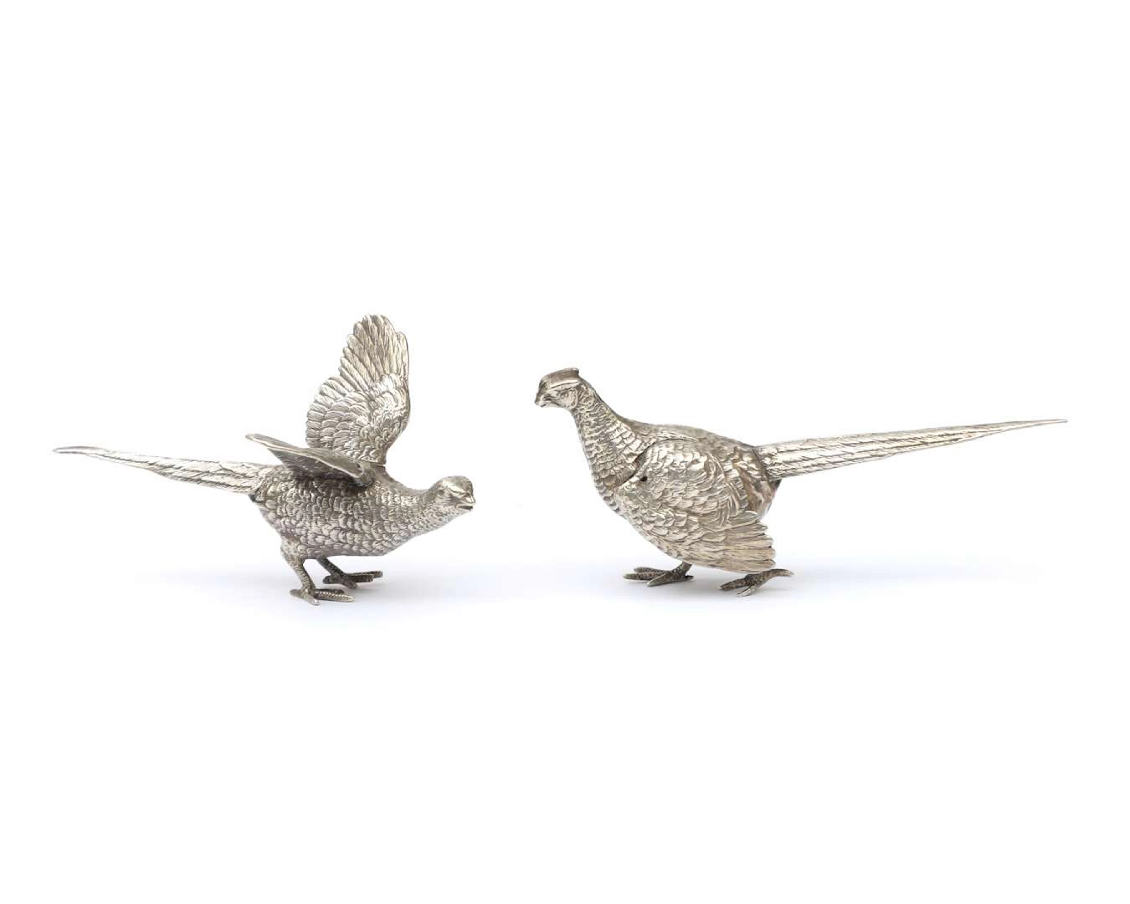 Two silver table pheasants, Netherlands, Haarlem, 1975
