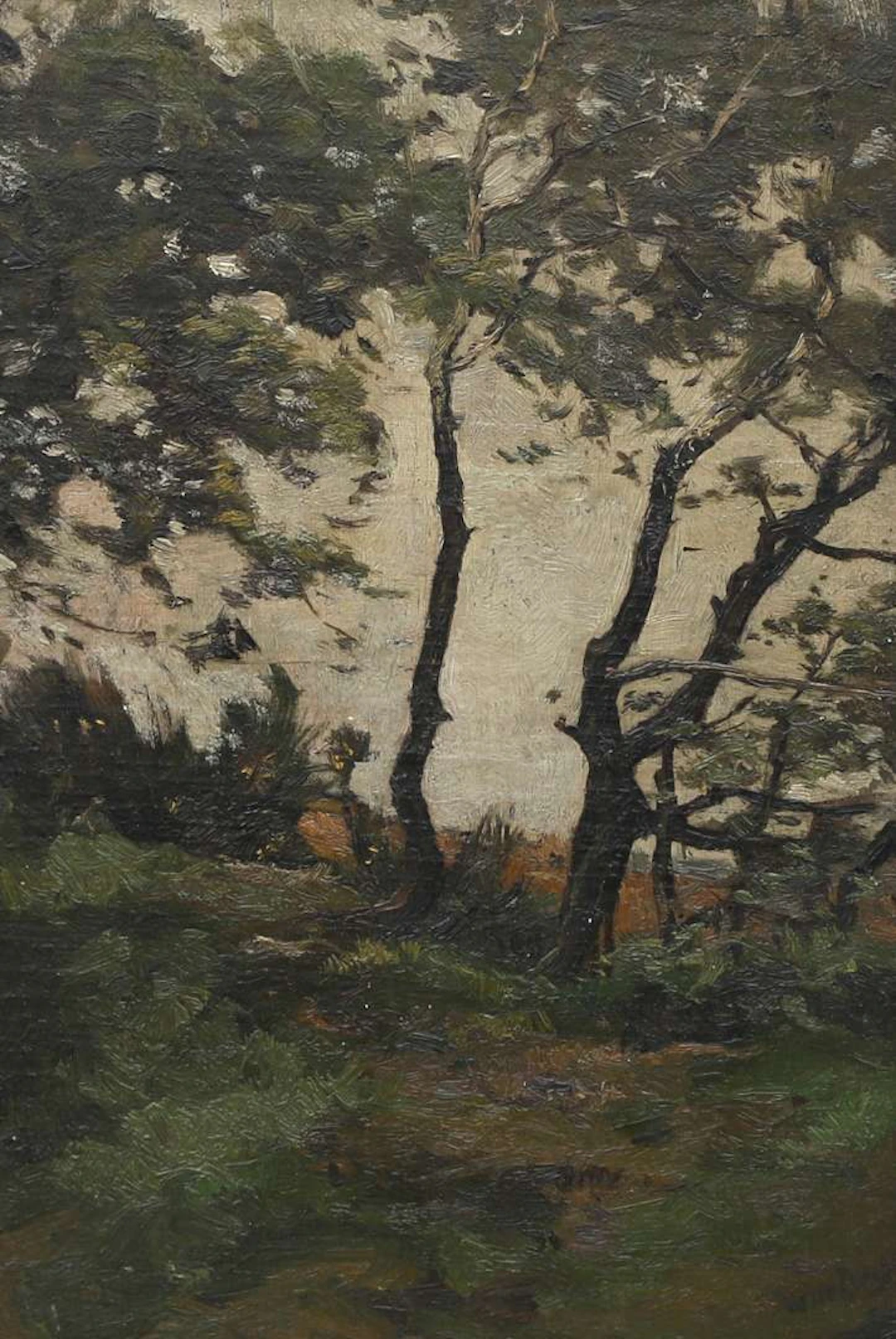 Willem de Zwart (1862-1931), Forest landscape