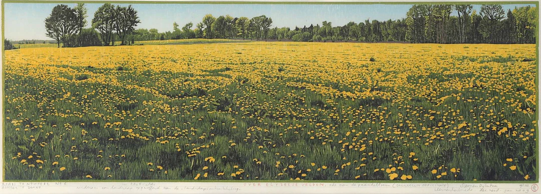 Siemen Dijkstra (1968), ‘Roads to nowhere no. 6 (Ode to the dandelion)’