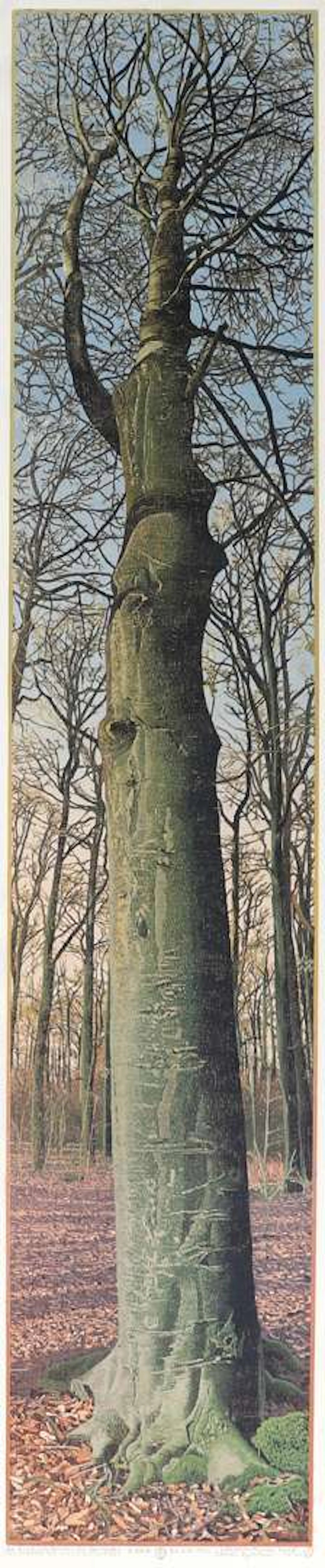 Siemen Dijkstra (1968), ‘De Bork, Westeinder Es, Dwingelo’
