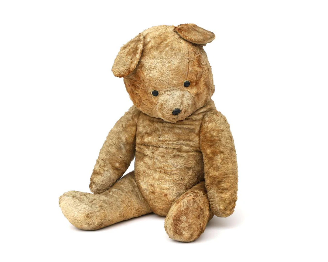 Teddy Bear, the inspiration for ‘Concerned Parents’, presented by