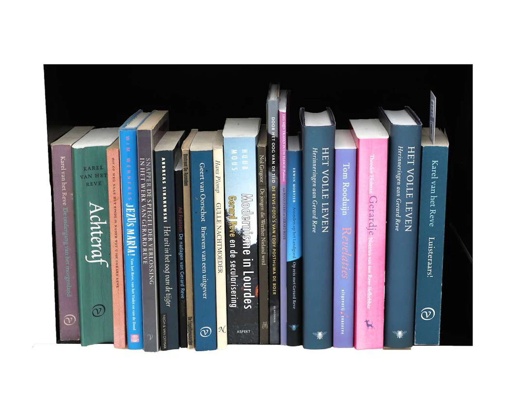Lot of 34 books, secondary literature on Gerard Reve