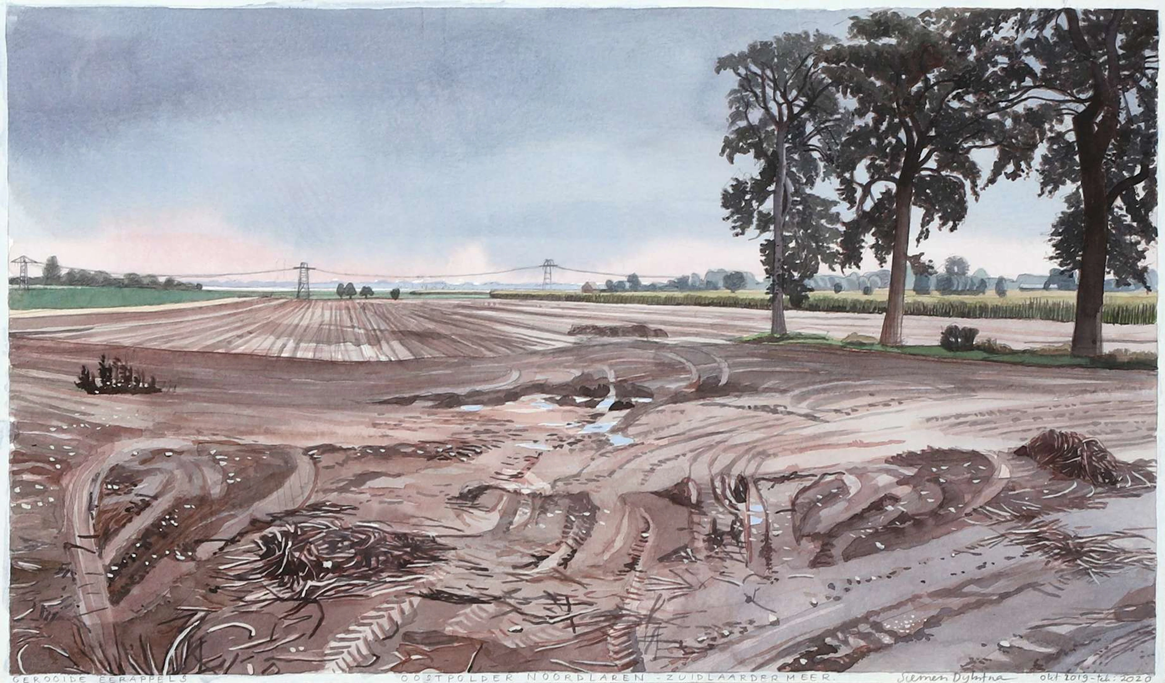Siemen Dijkstra (1968), ‘Harvested potatoes, Oostpolder Noordlare