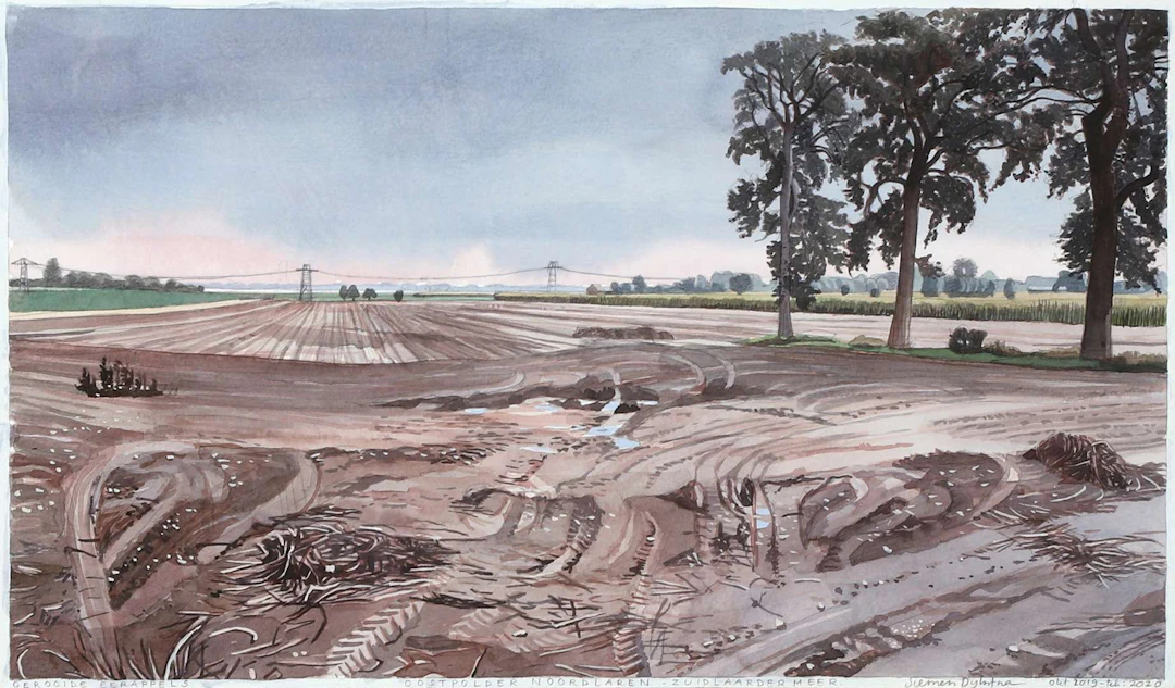 Siemen Dijkstra (1968), ‘Harvested potatoes, Oostpolder Noordlare