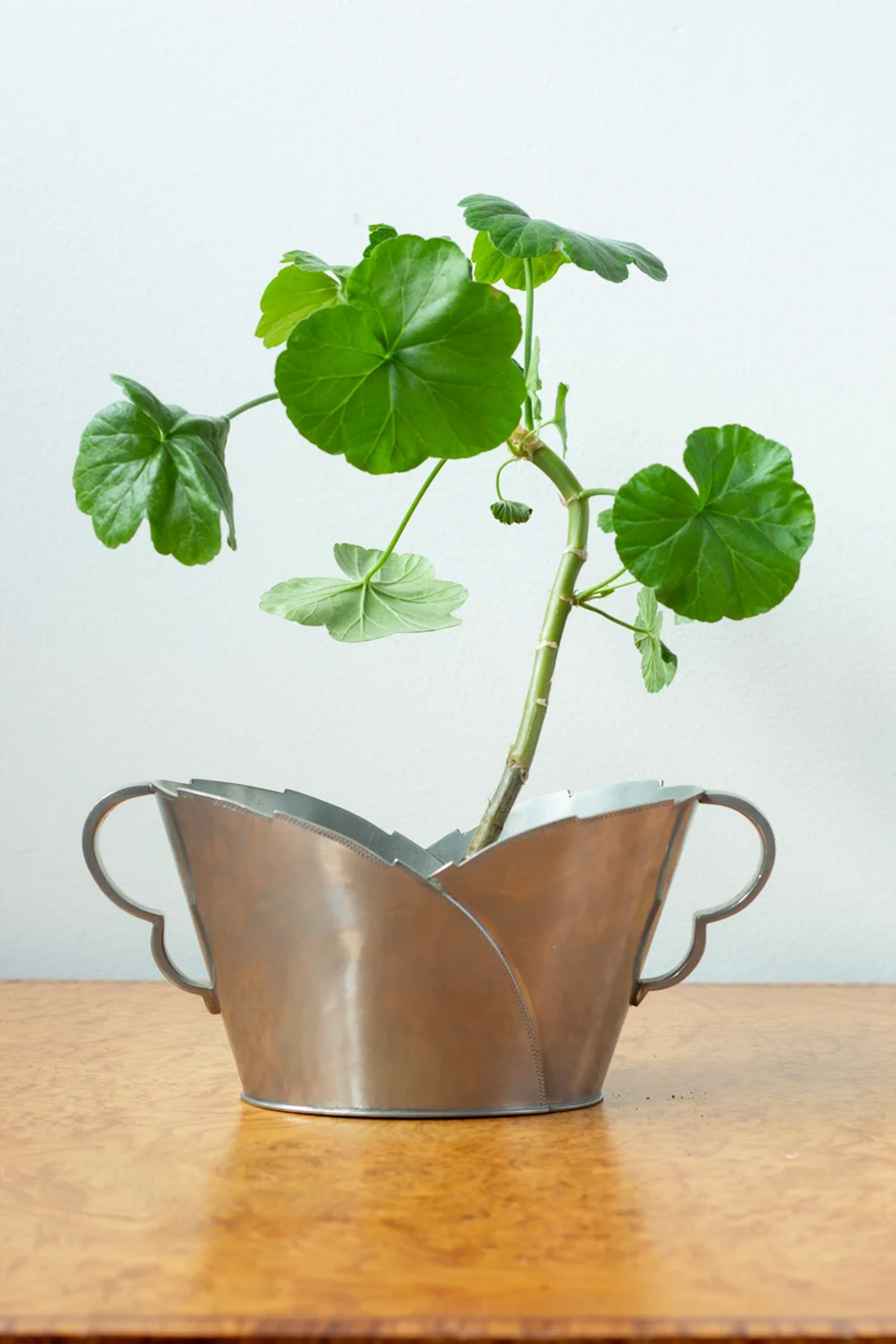 Jardinière flower planeter in pewter by GAB, 1933
