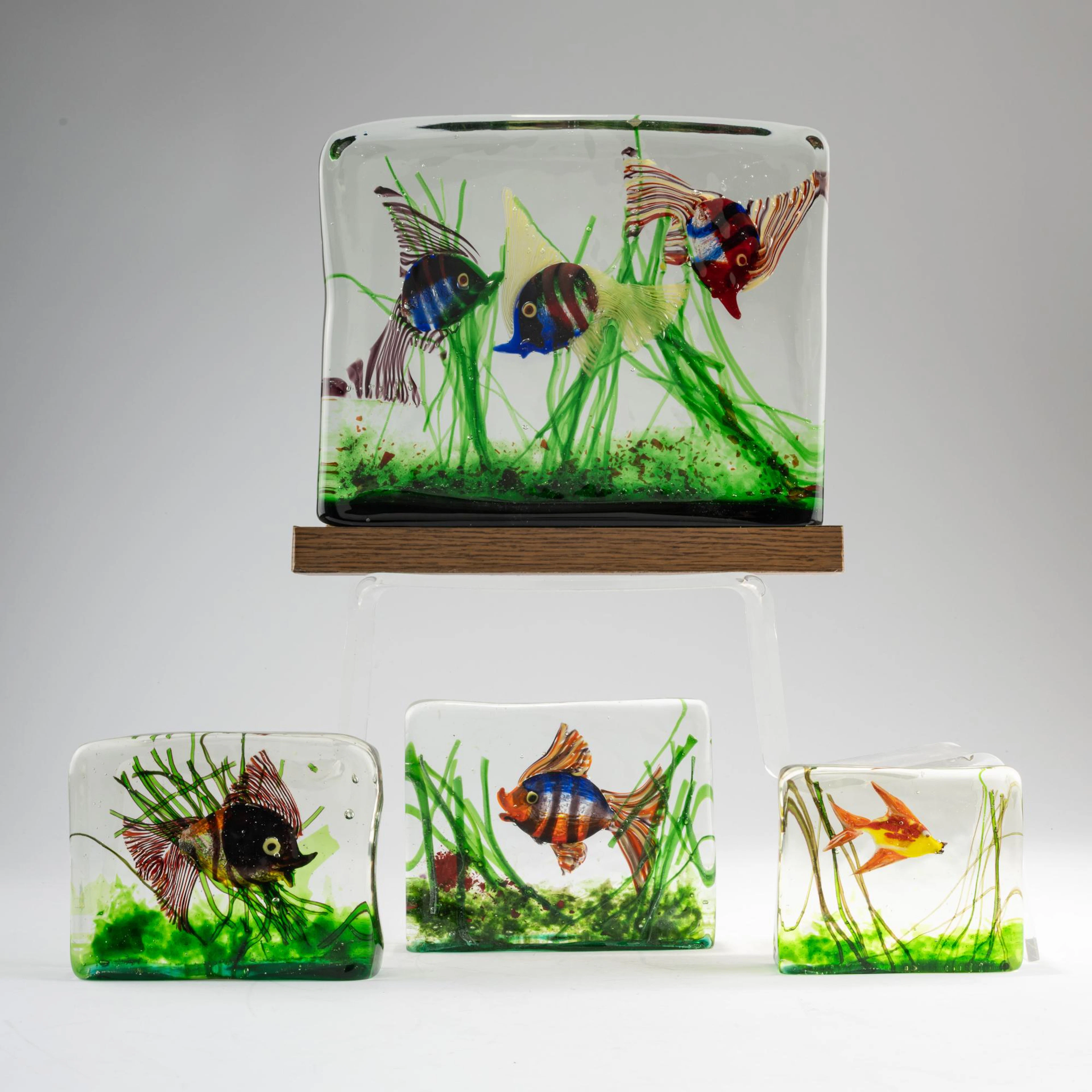 Cenedese Vier Aquarien, um 1960
