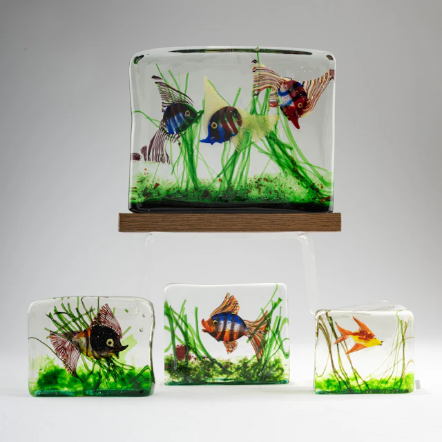 Cenedese Vier Aquarien, um 1960