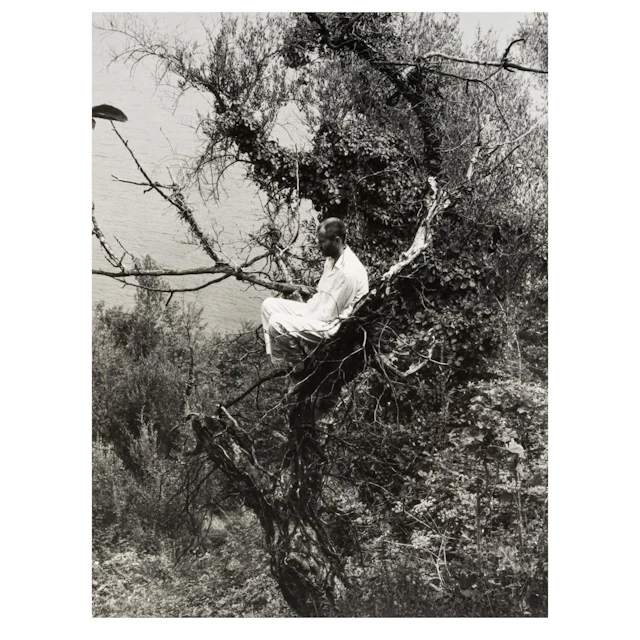 Dieter Appelt (1935 Niemegk - lebt und arbeitet in Berlin) Photographie