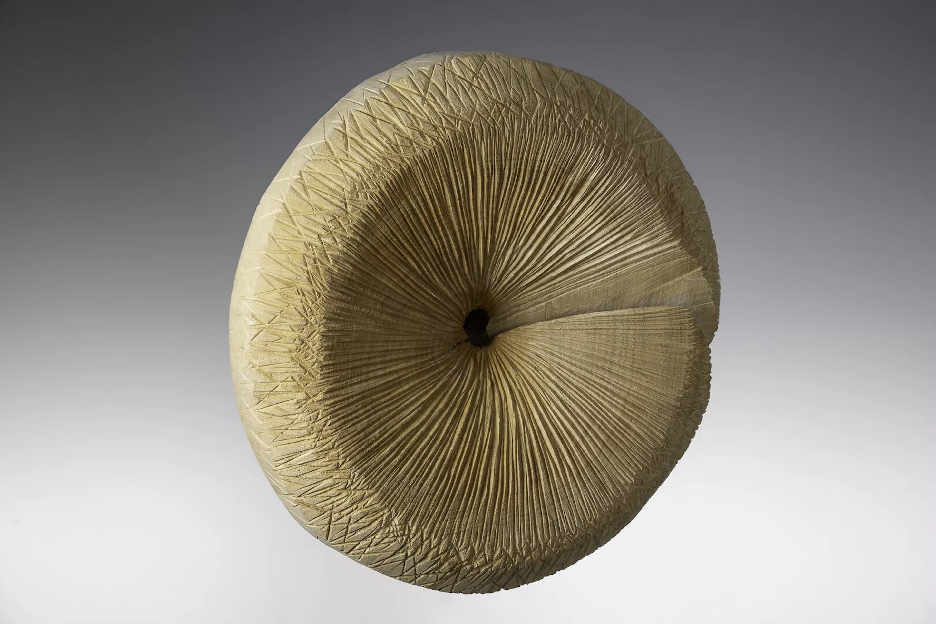 Alexander Heigl "Ring spiral" - Zweigstelle Berlin