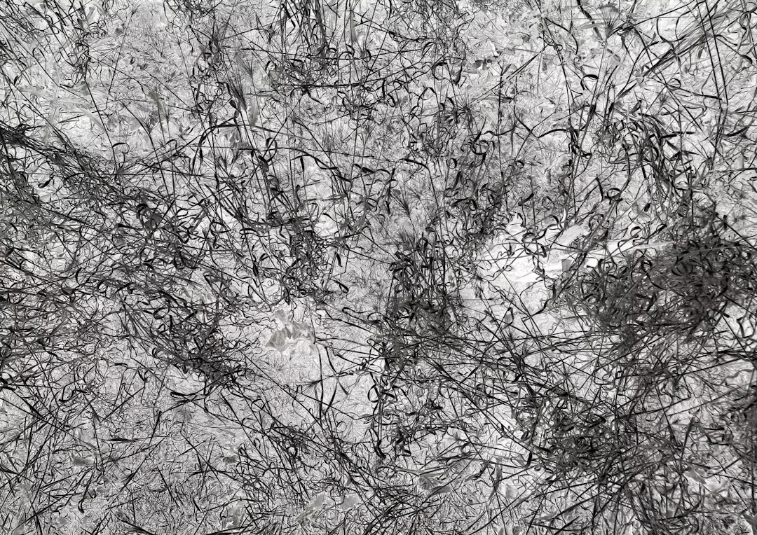 Doris Titze "o.T. (Heidelberg) 2023" - Zweigstelle Berlin