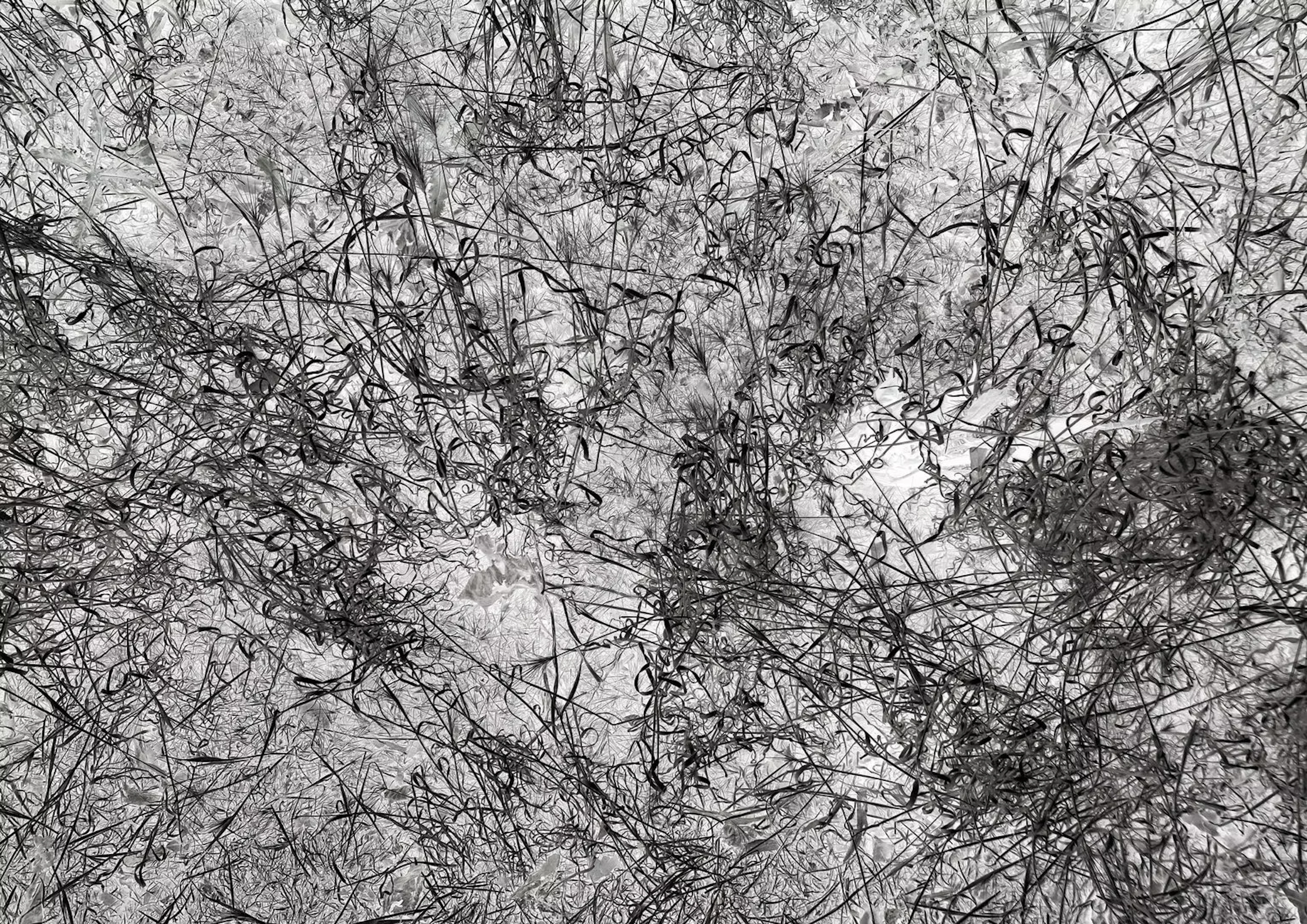 Doris Titze "o.T. (Heidelberg) 2023" - Zweigstelle Berlin