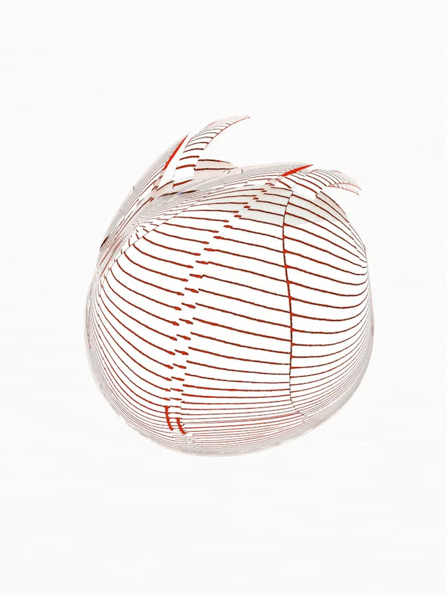 Zita Habarta "COCSO 2-li" - Zweigstelle Berlin