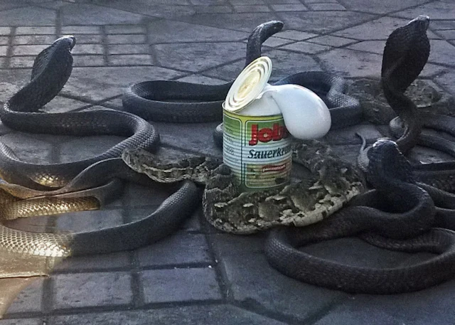 Venske & Spänle "Cobra con crauti" - Zweigstelle Berlin