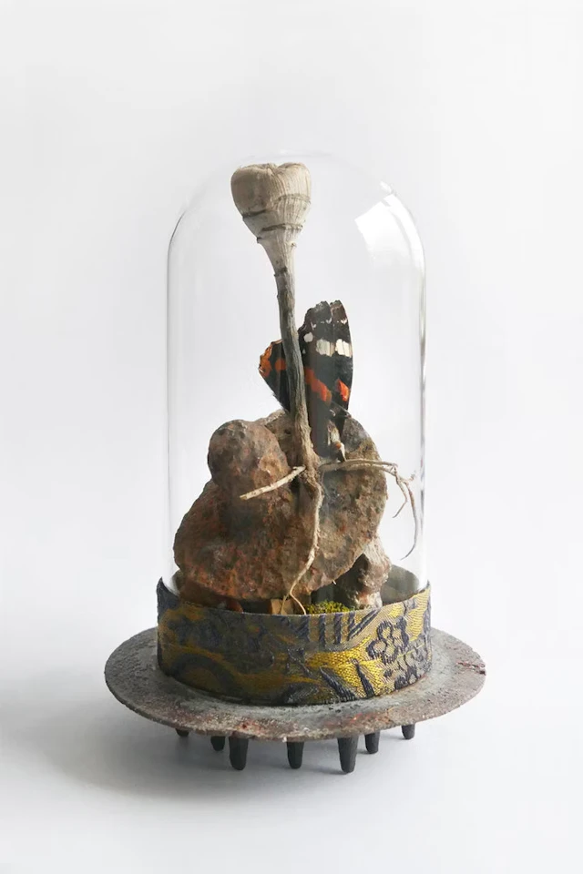 Anja Güthoff "Refugium_Schmetterlinge" - Zweigstelle Berlin