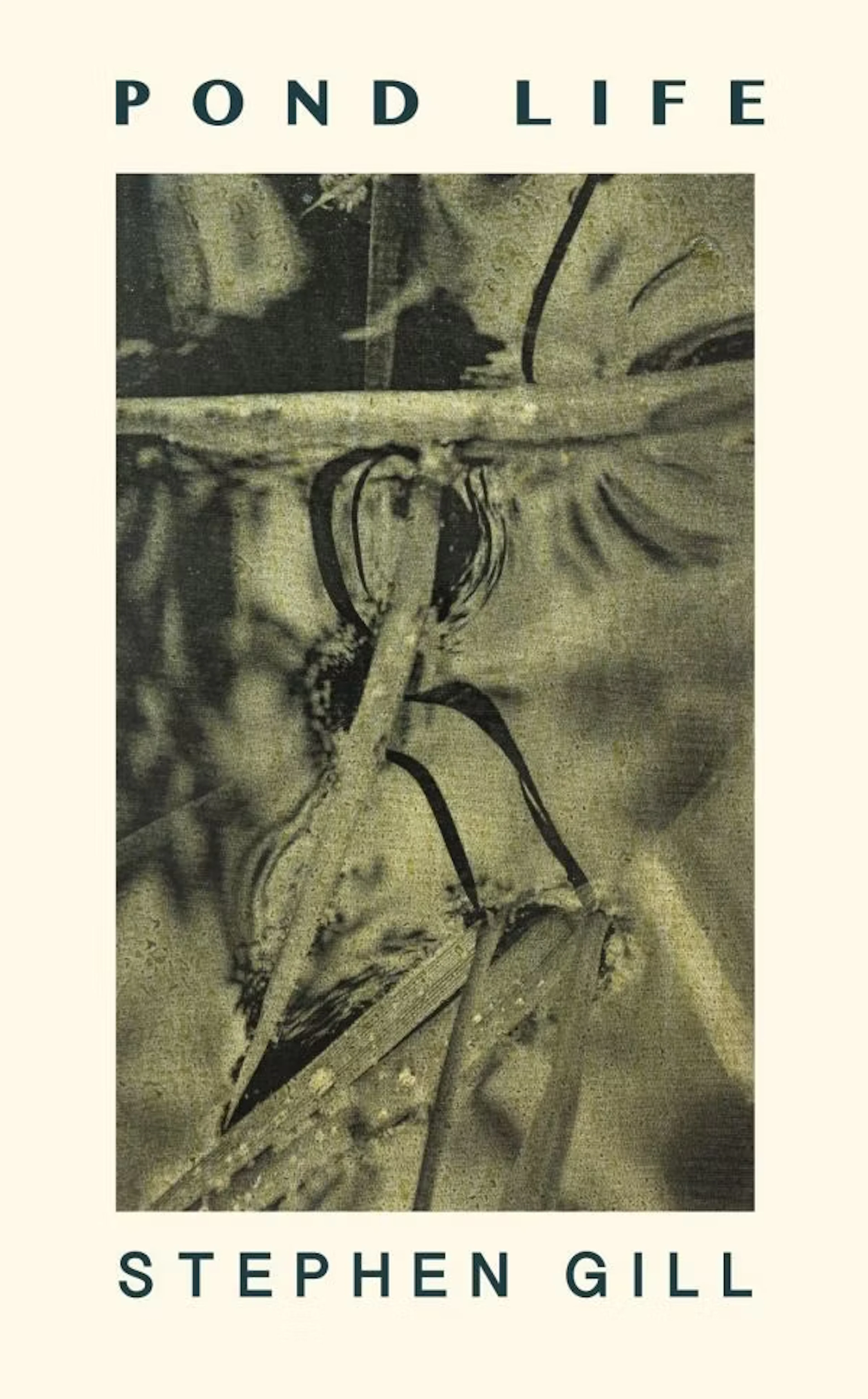 Stephen Gill "Pond Life" - Zweigstelle Berlin