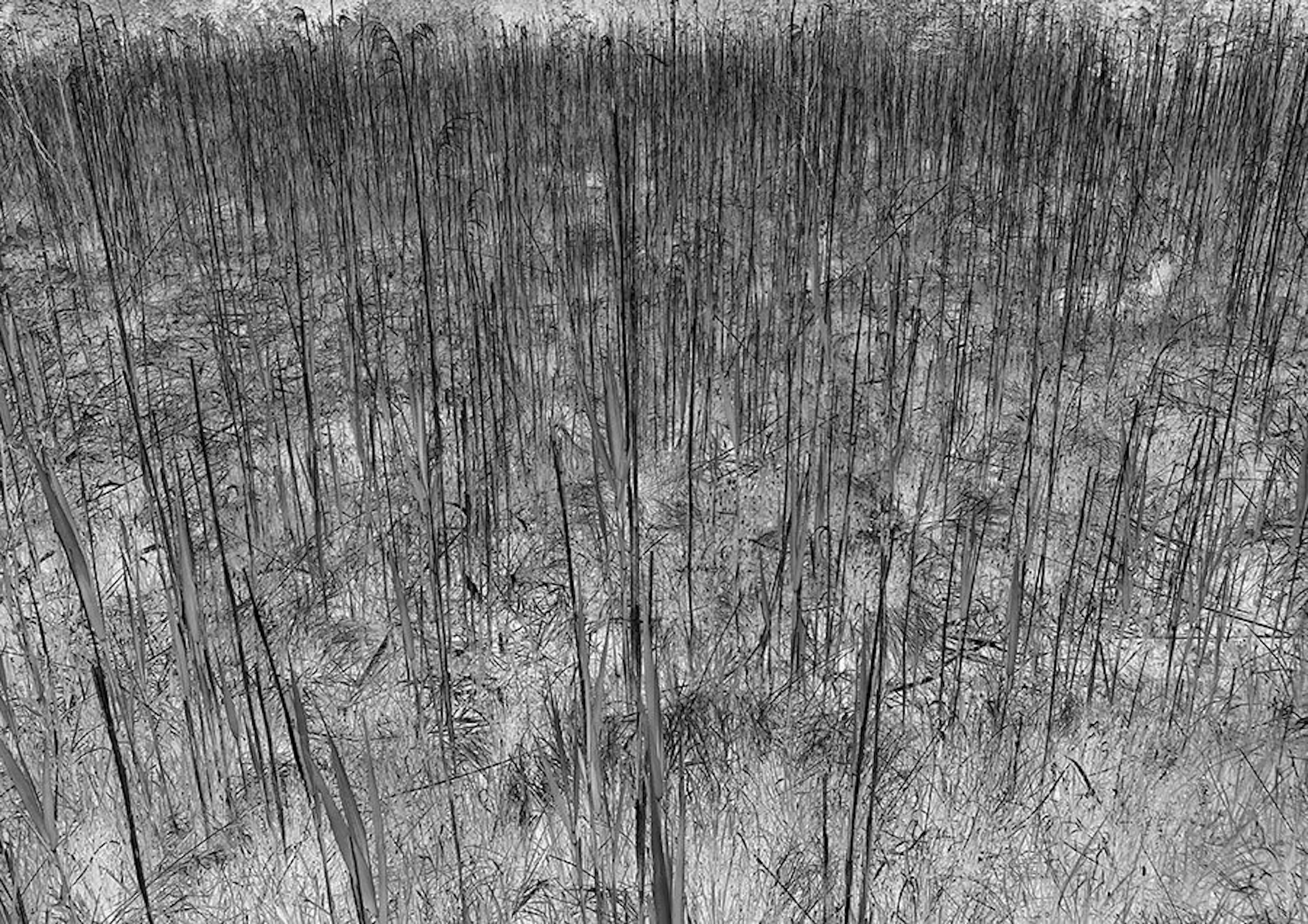 Doris Titze "o.T. (Bärnsee) 2021" - Zweigstelle Berlin