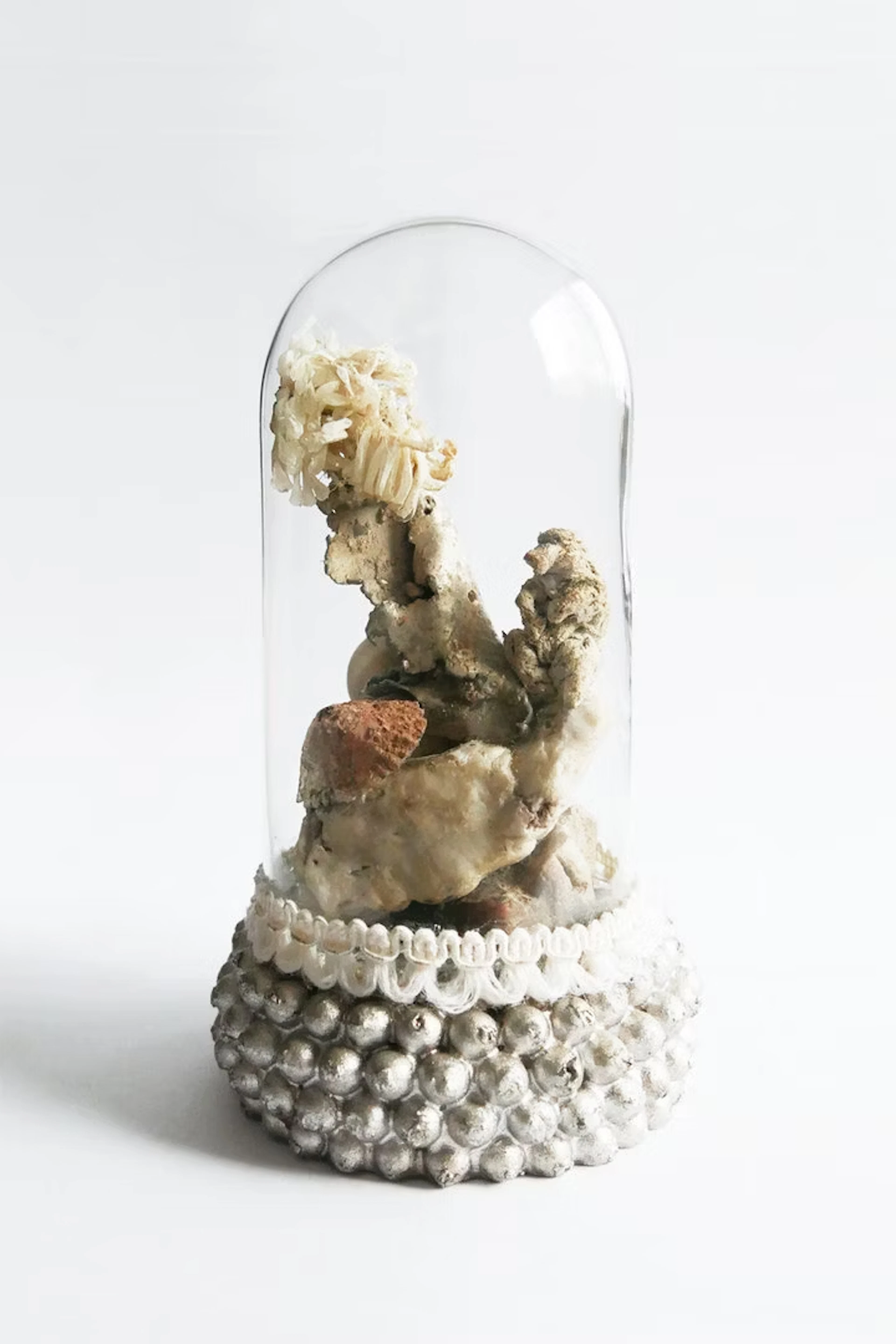 Anja Güthoff "Refugium_Pavian" - Zweigstelle Berlin