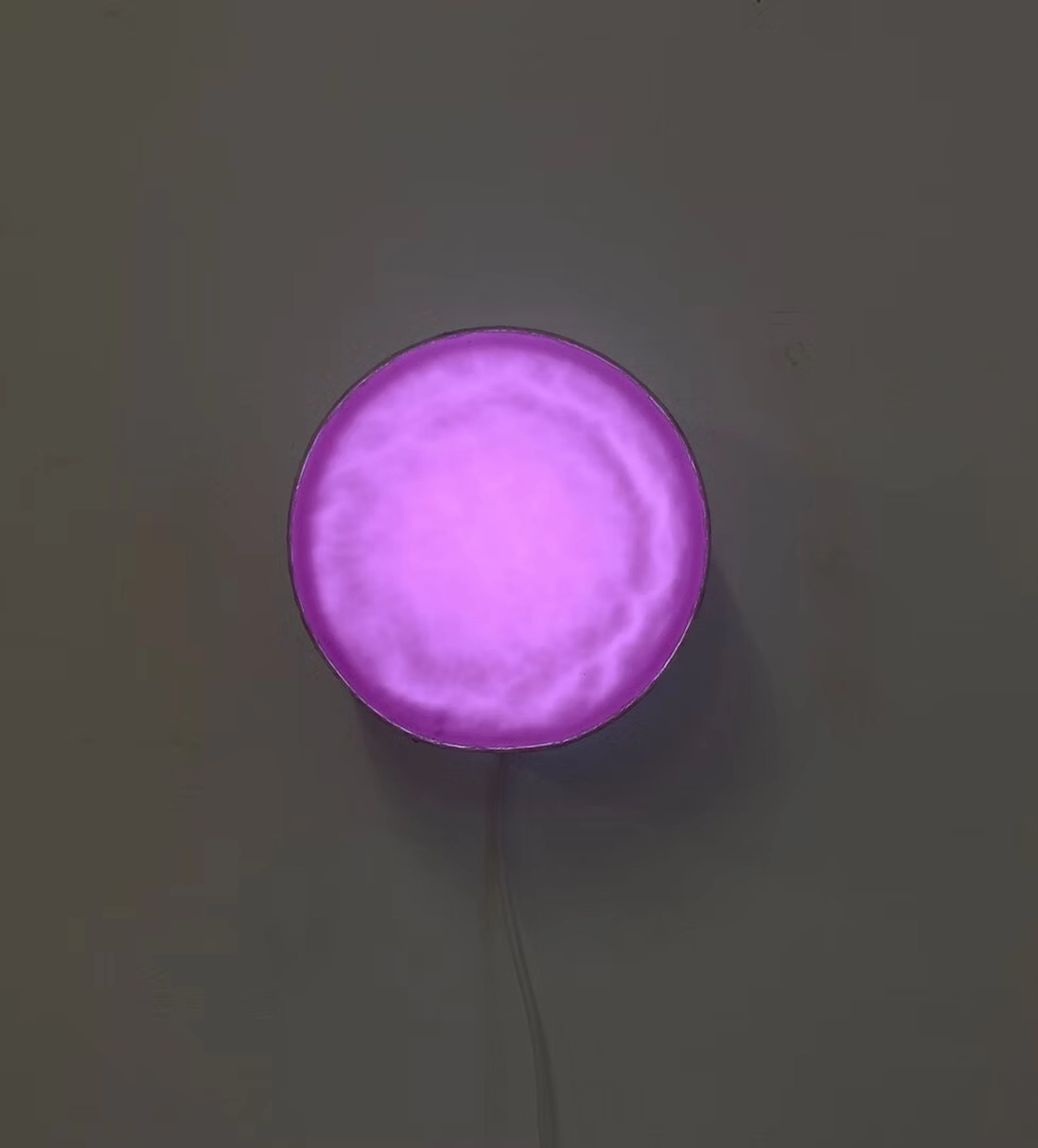 Inge Gutbrod "Lovesong-rund, XVIII, Lila" - Zweigstelle Berlin