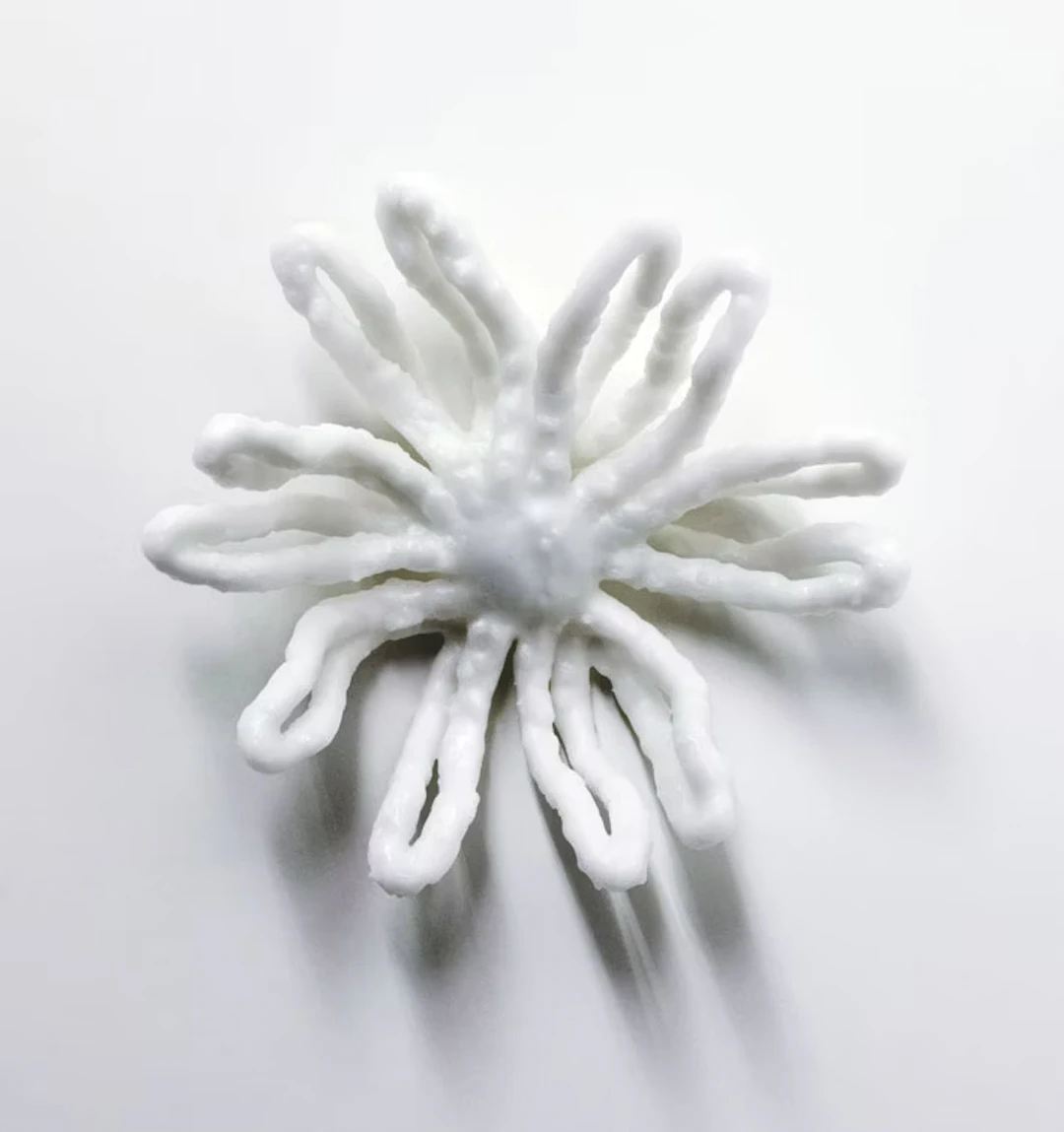 Inge Gutbrod "WachsBlüte g1"