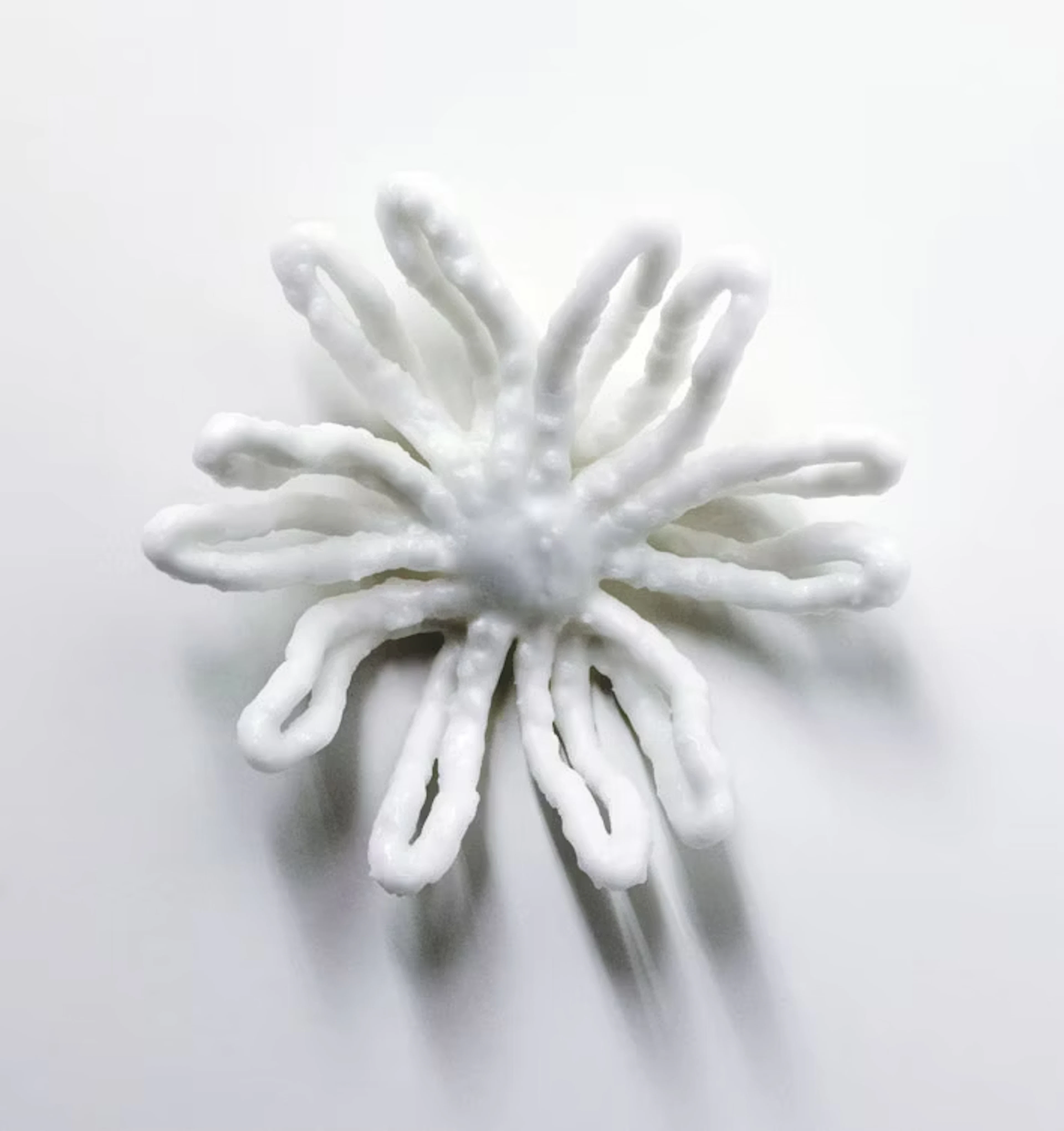 Inge Gutbrod "WachsBlüte g1"