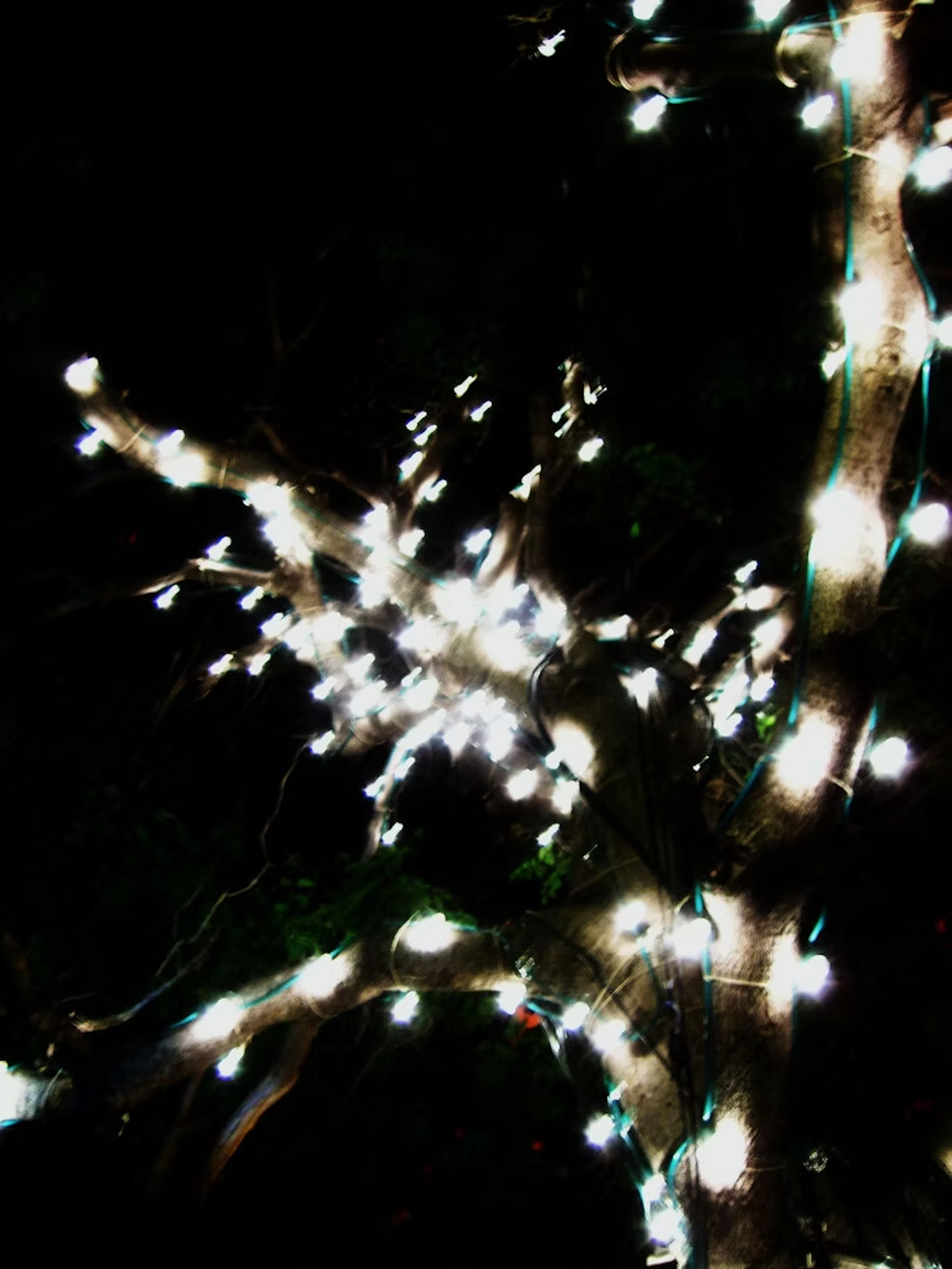Marc Peschke "After This Darkness There Is Another_Madeira 2" - Zweigstelle