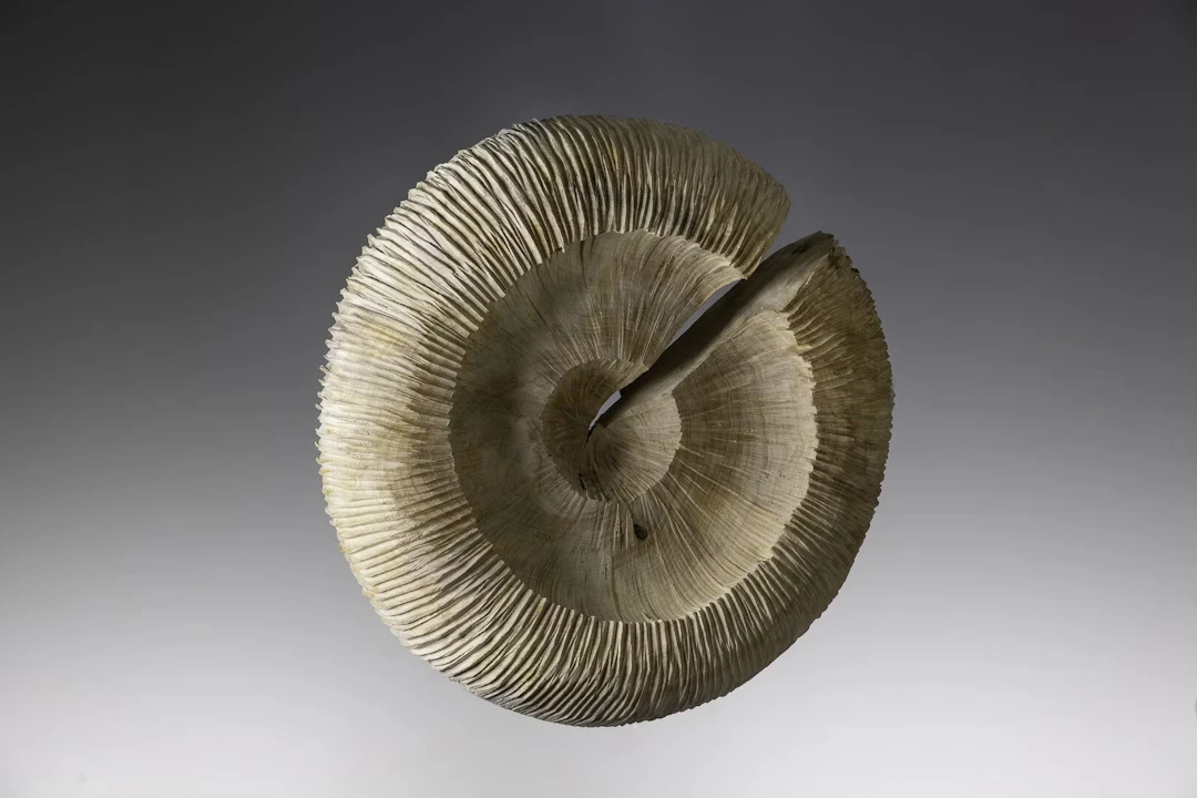 Alexander Heigl "grow: S" - Zweigstelle Berlin