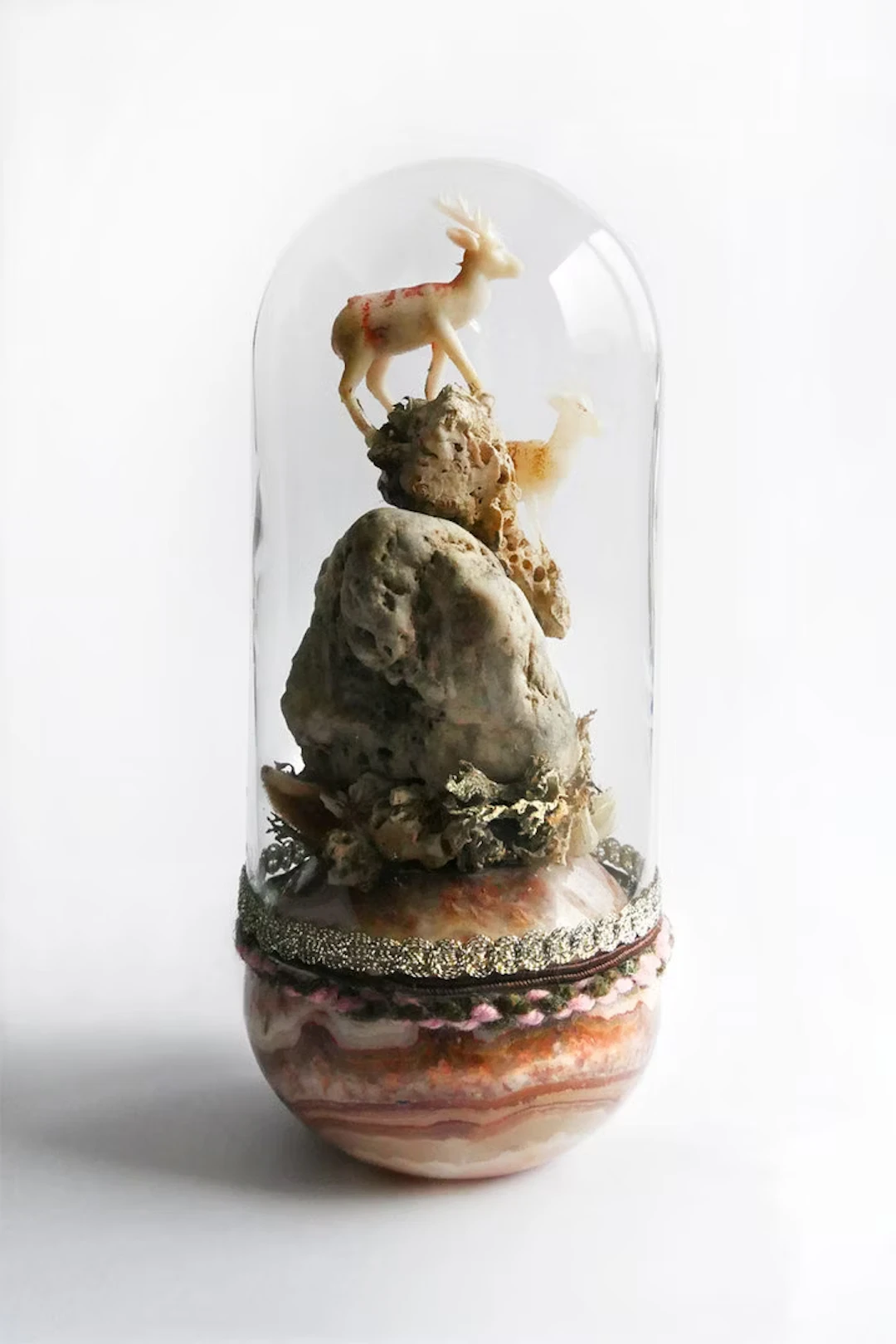 Anja Güthoff "Refugium_Rehe" - Zweigstelle Berlin