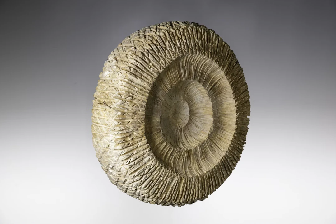 Alexander Heigl "grow: M" - Zweigstelle Berlin