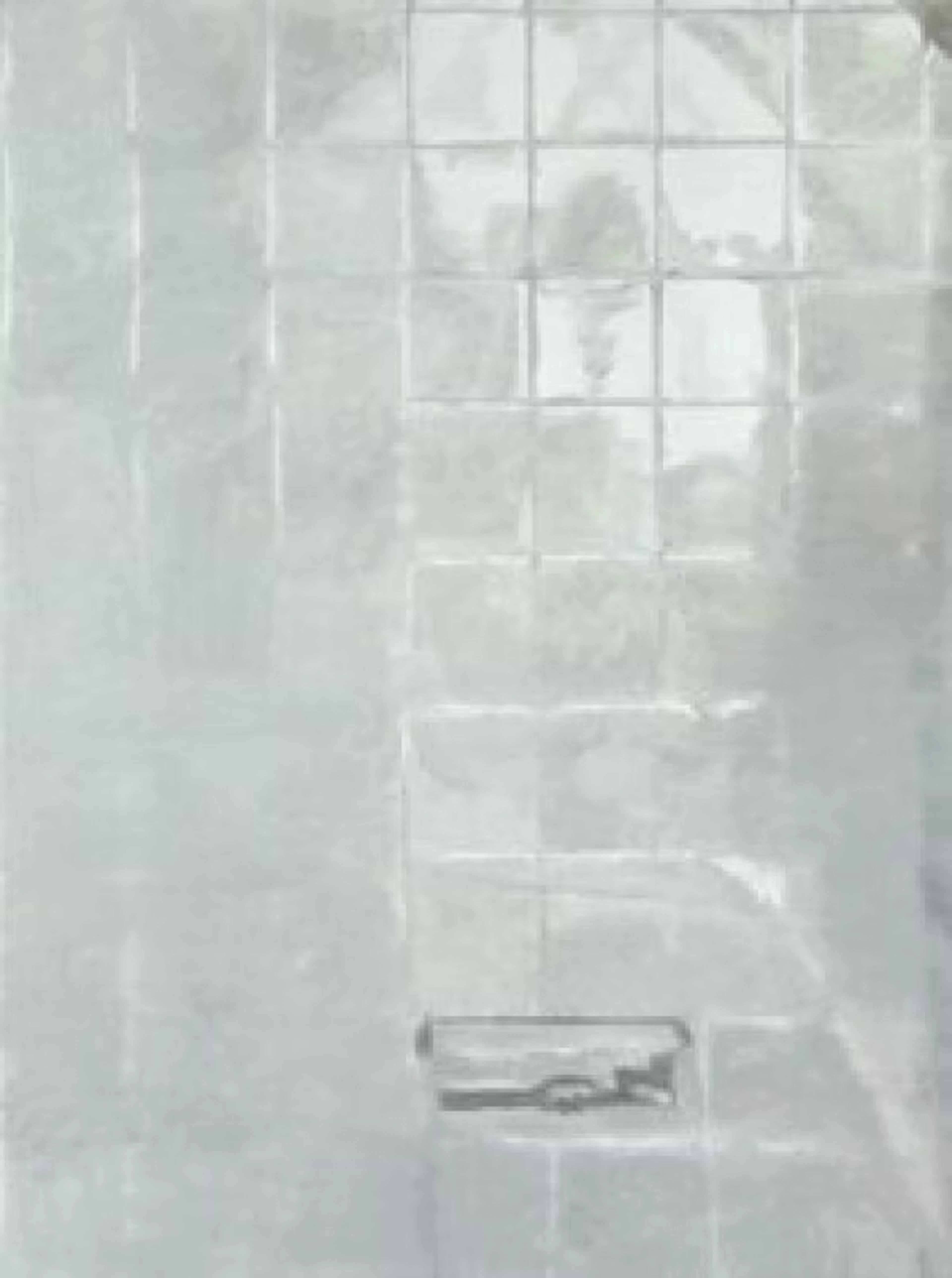 Luc Tuymans "Ex Libris #7 - „Illusion and Reality“ (Christopher Caudwell