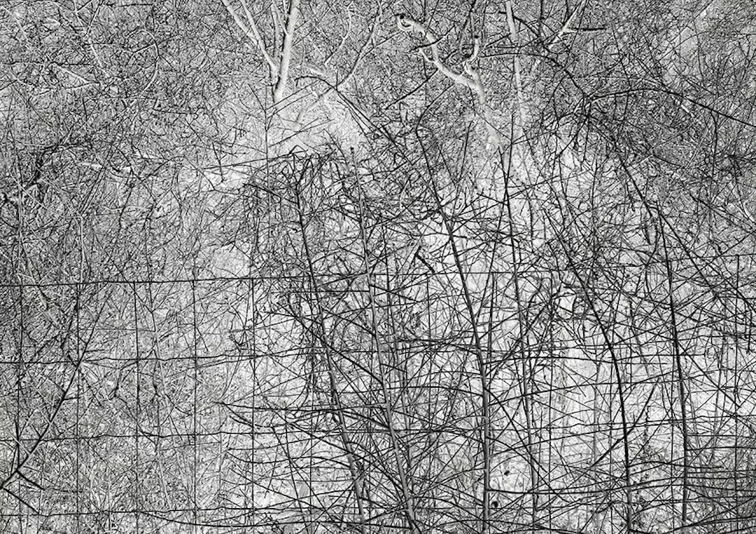 Doris Titze "o.T. (Lebus 01) 2022" - Zweigstelle Berlin
