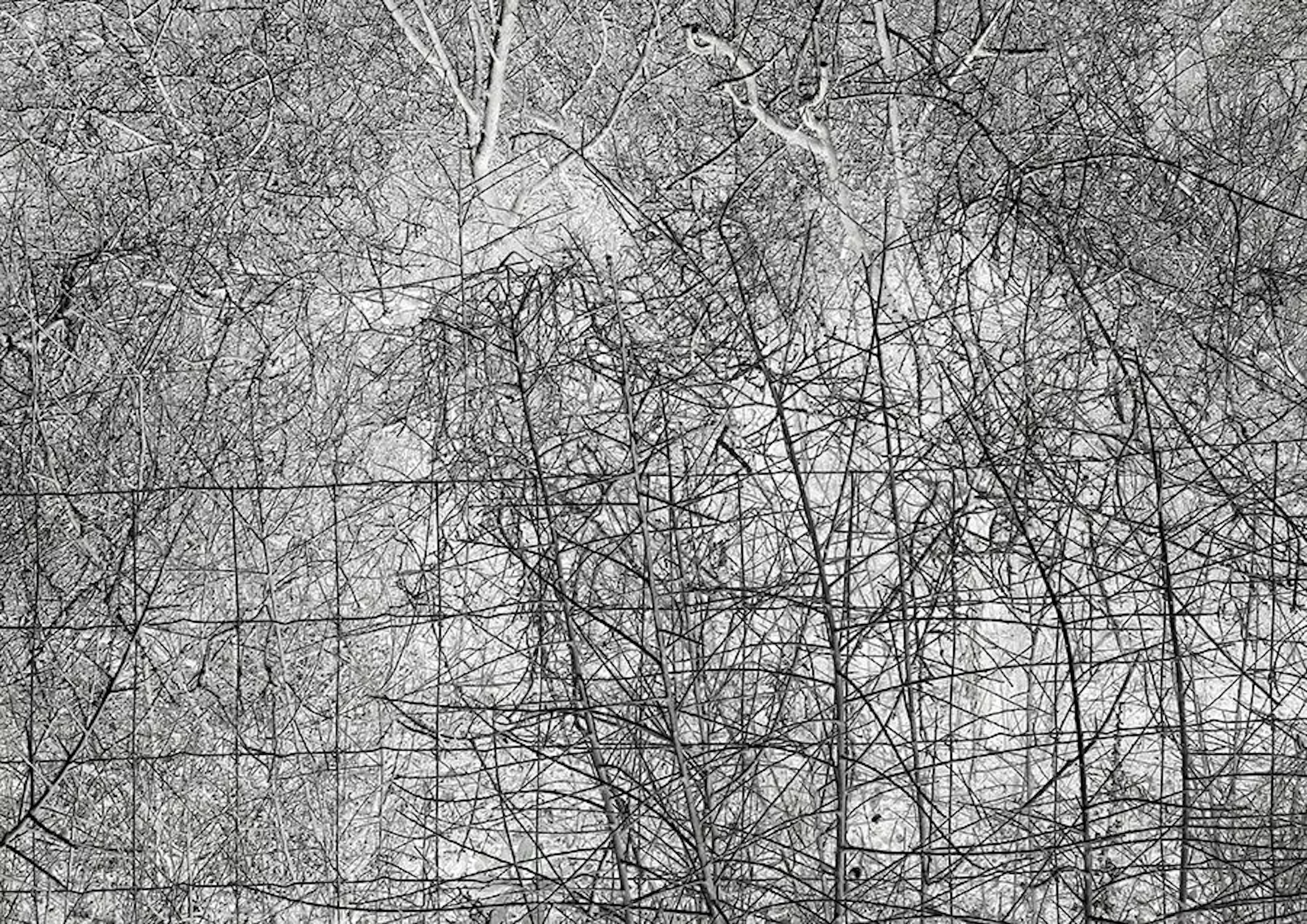 Doris Titze "o.T. (Lebus 01) 2022" - Zweigstelle Berlin
