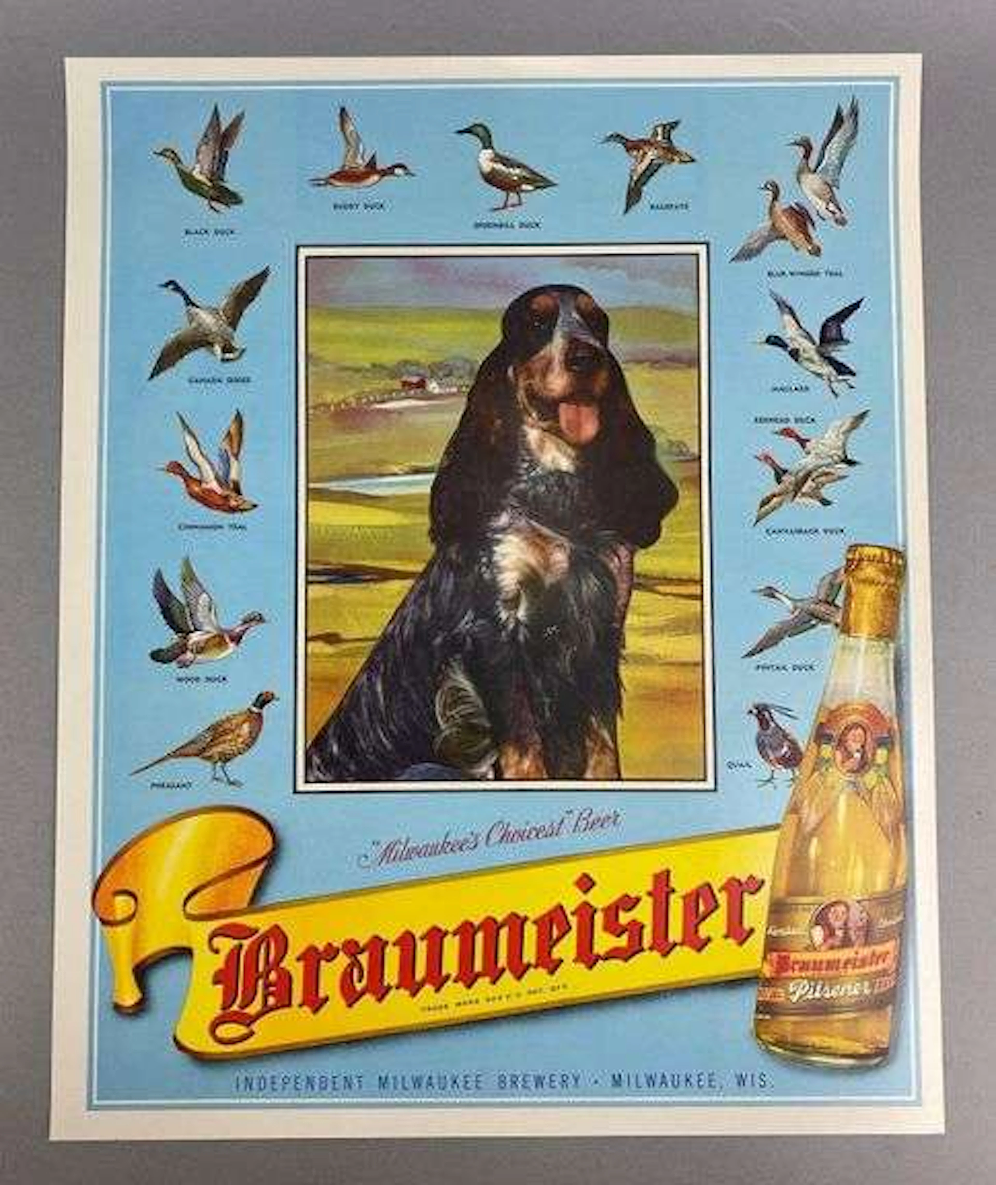 Vintage 1950s Braumeister Black Dog Advertising Poster