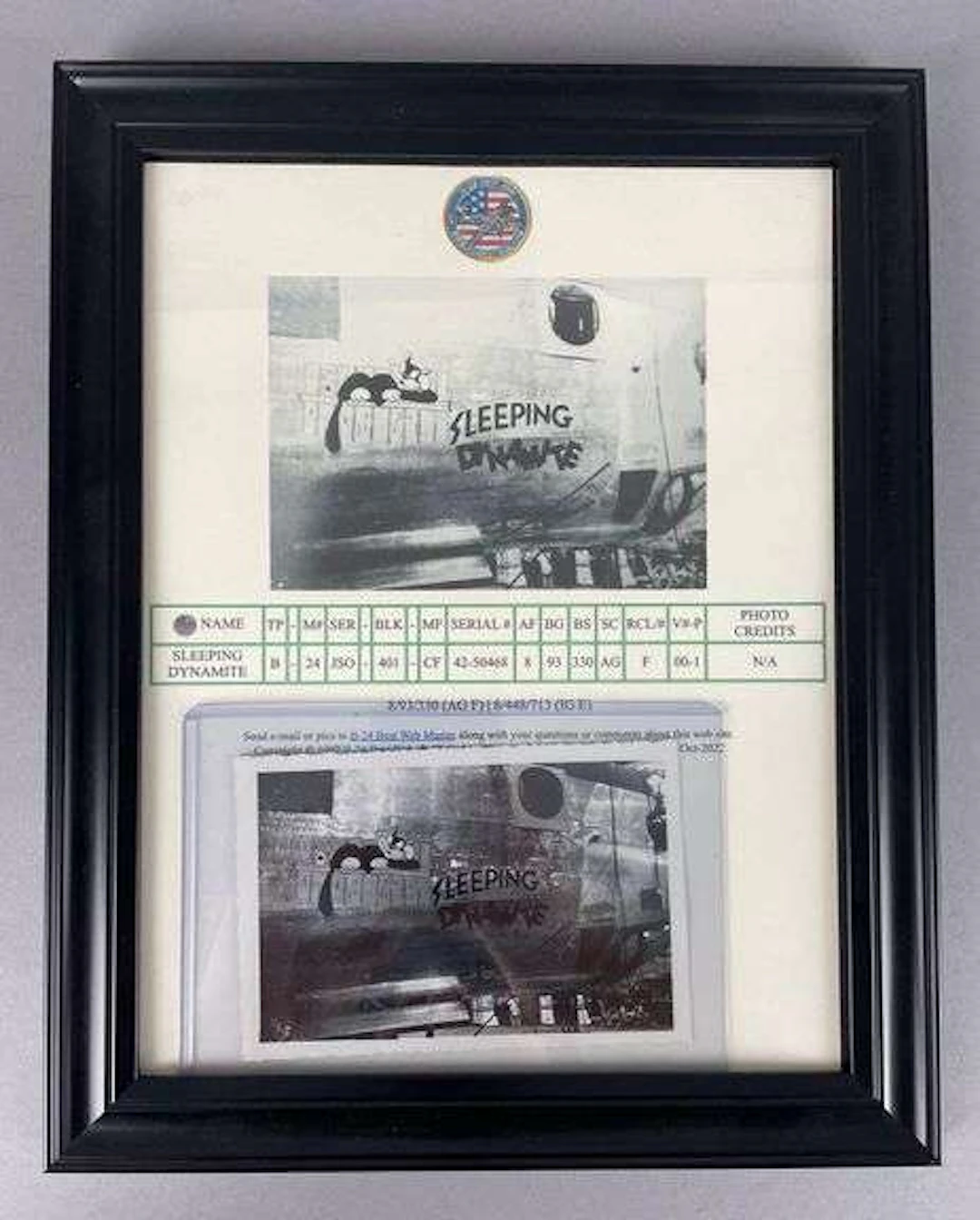WW2 Consolidated B-24 Liberator Sleeping Dynamite Nose Art Photo