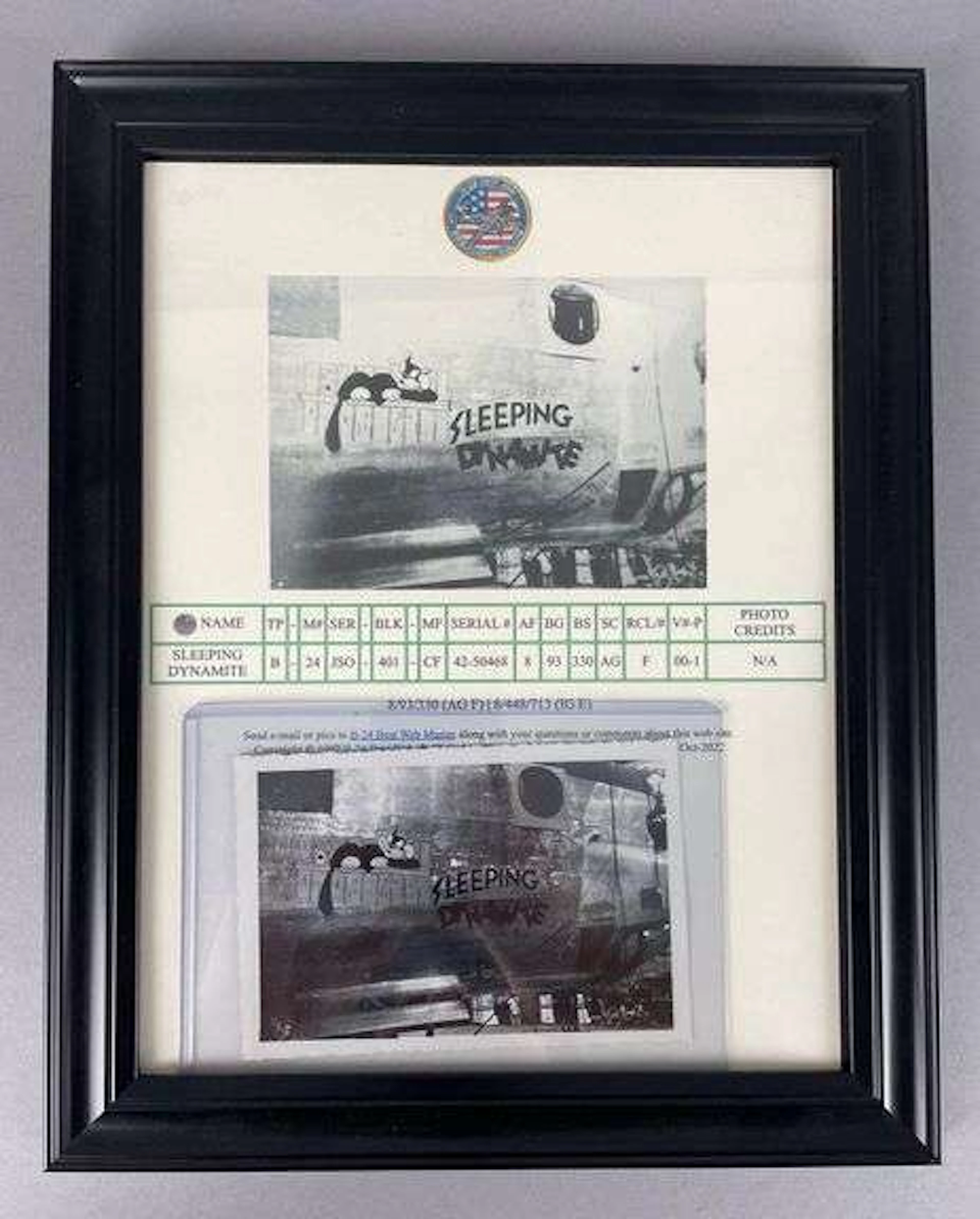 WW2 Consolidated B-24 Liberator Sleeping Dynamite Nose Art Photo
