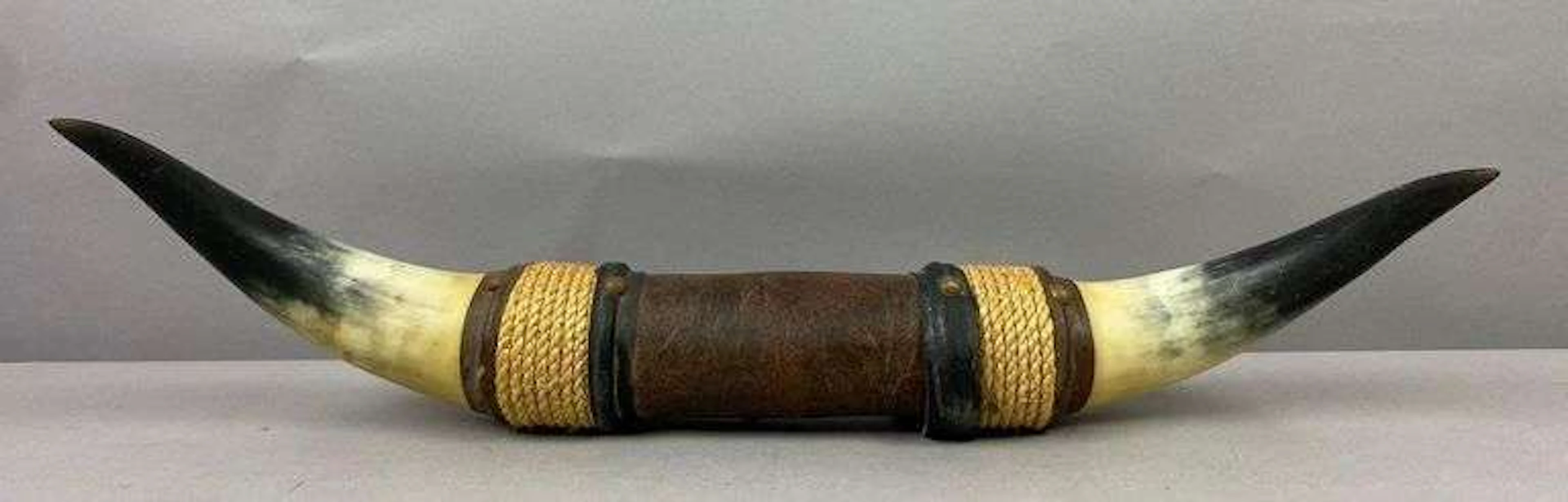 Vintage Bound Steer Bull Horns