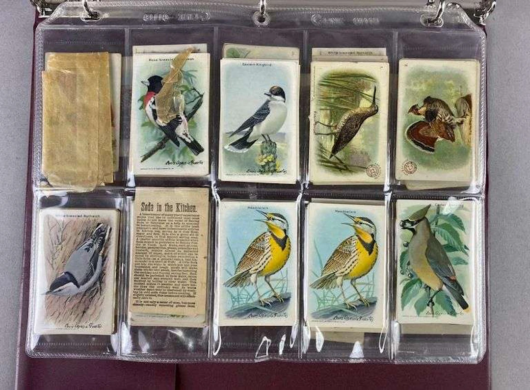 Group of 50+ Vintage Arm and Hammer “Useful Birds of America” Advertising