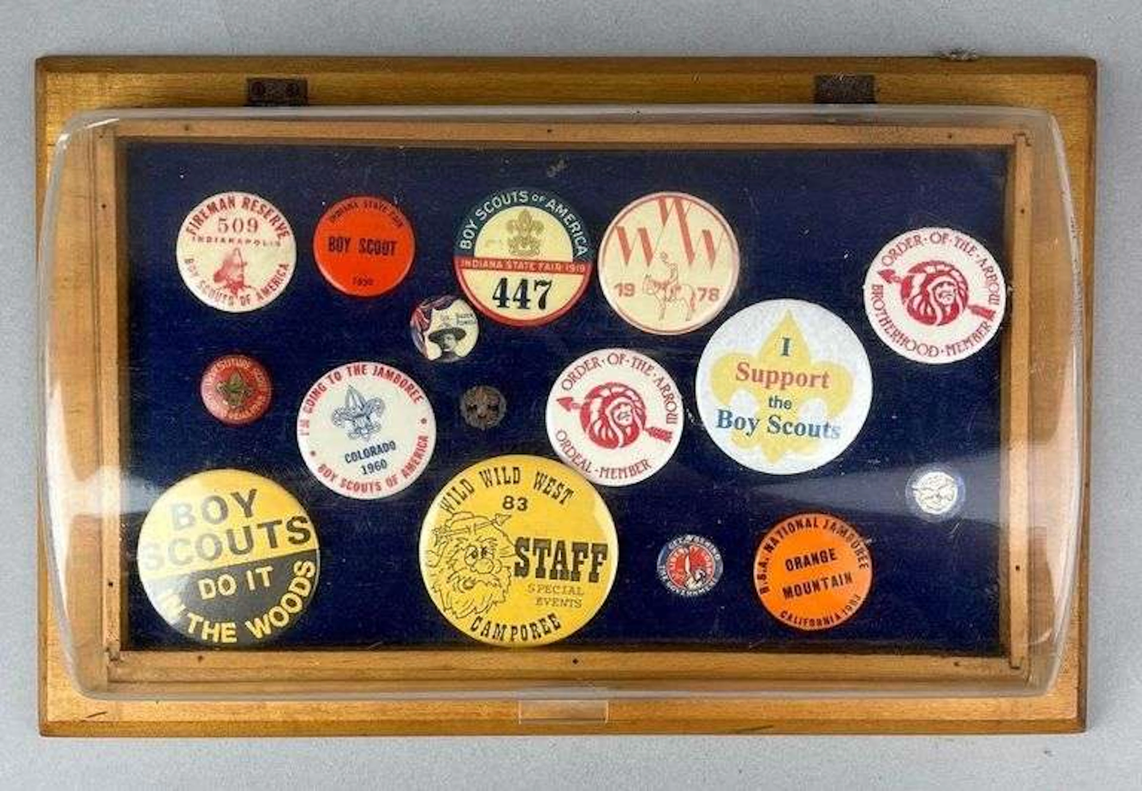 Group of 16 Antique/ Vintage Boy Scouts of America Badges and Pins