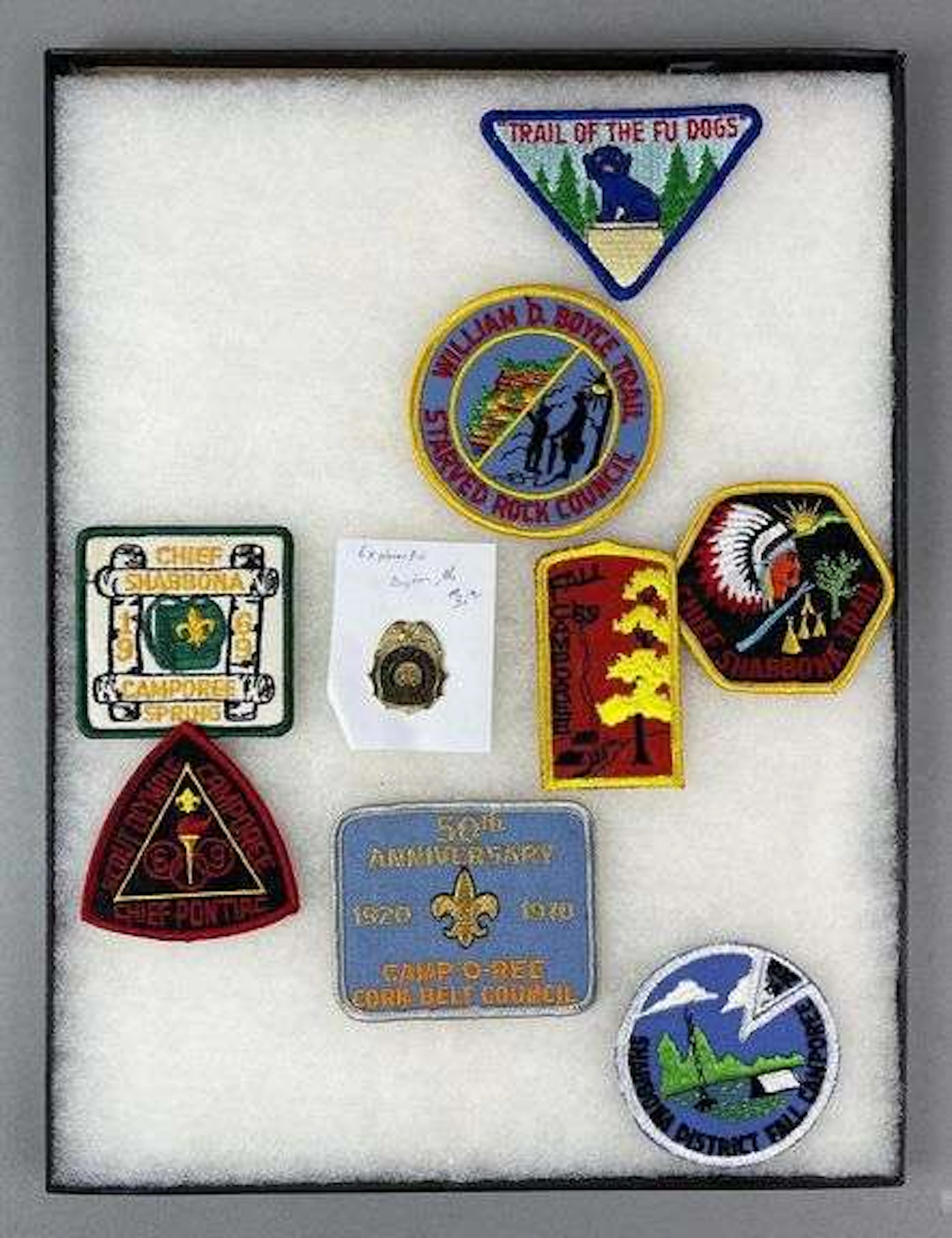 Group of 9 Boy Scouts of America Badge