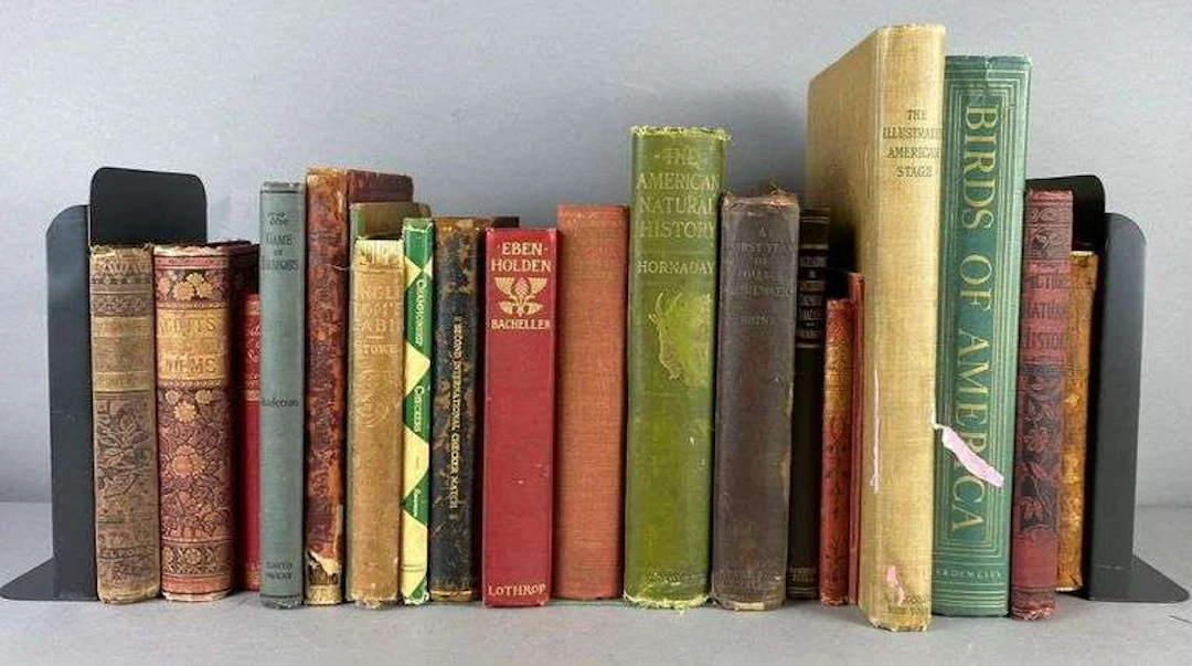Group of Antique Academic Books