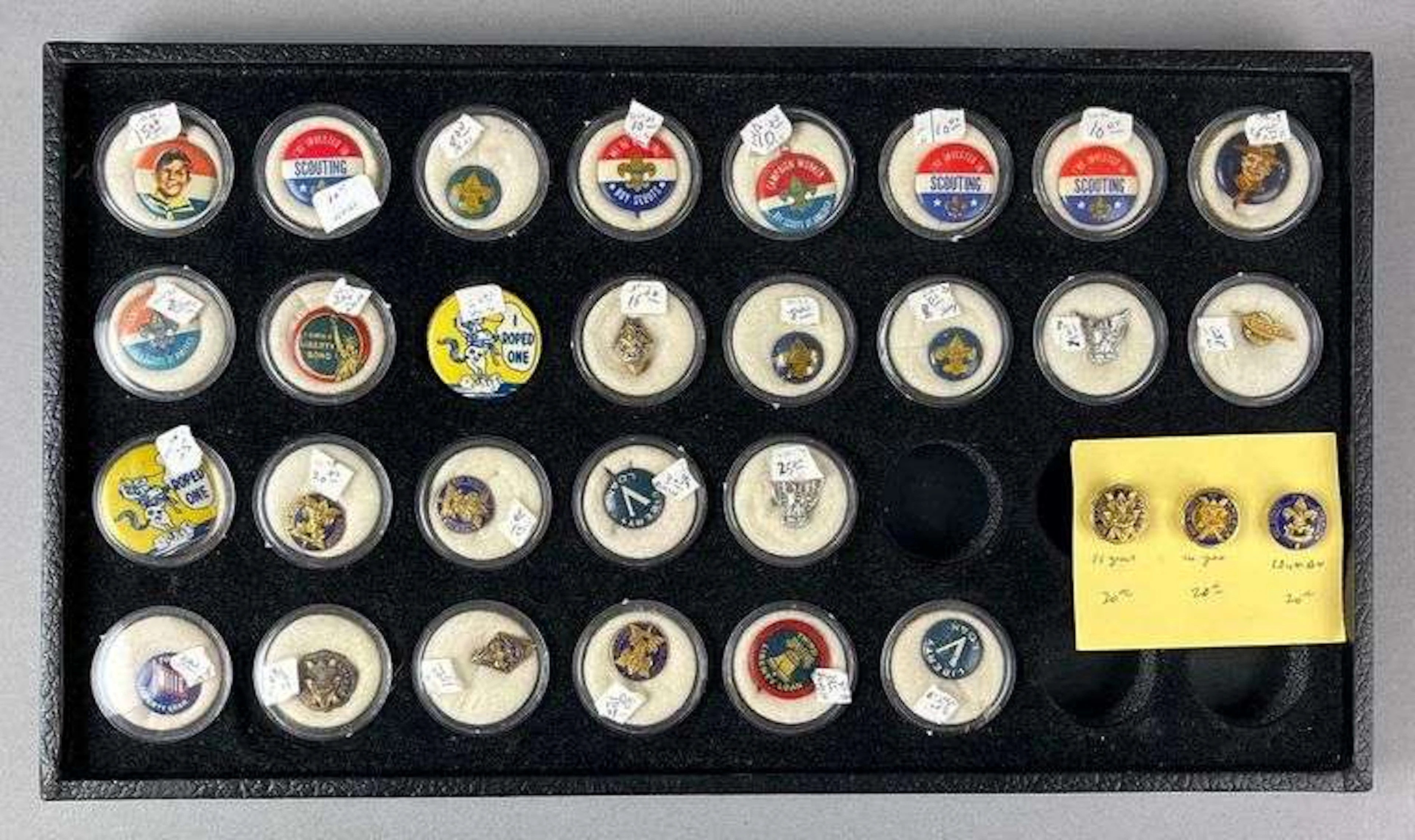 Group of 30 Antique/ Vintage Boy Scouts of America Badges and Pins