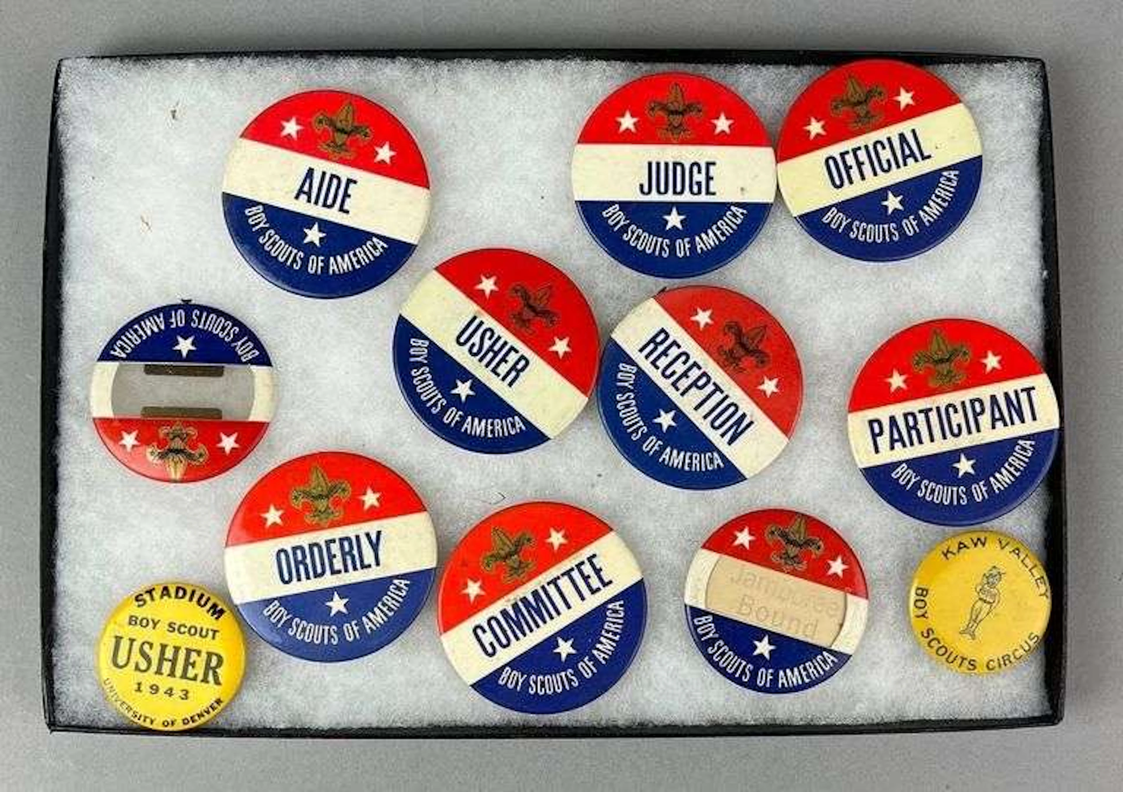 Group of 12 Boy Scouts of America Button Pins