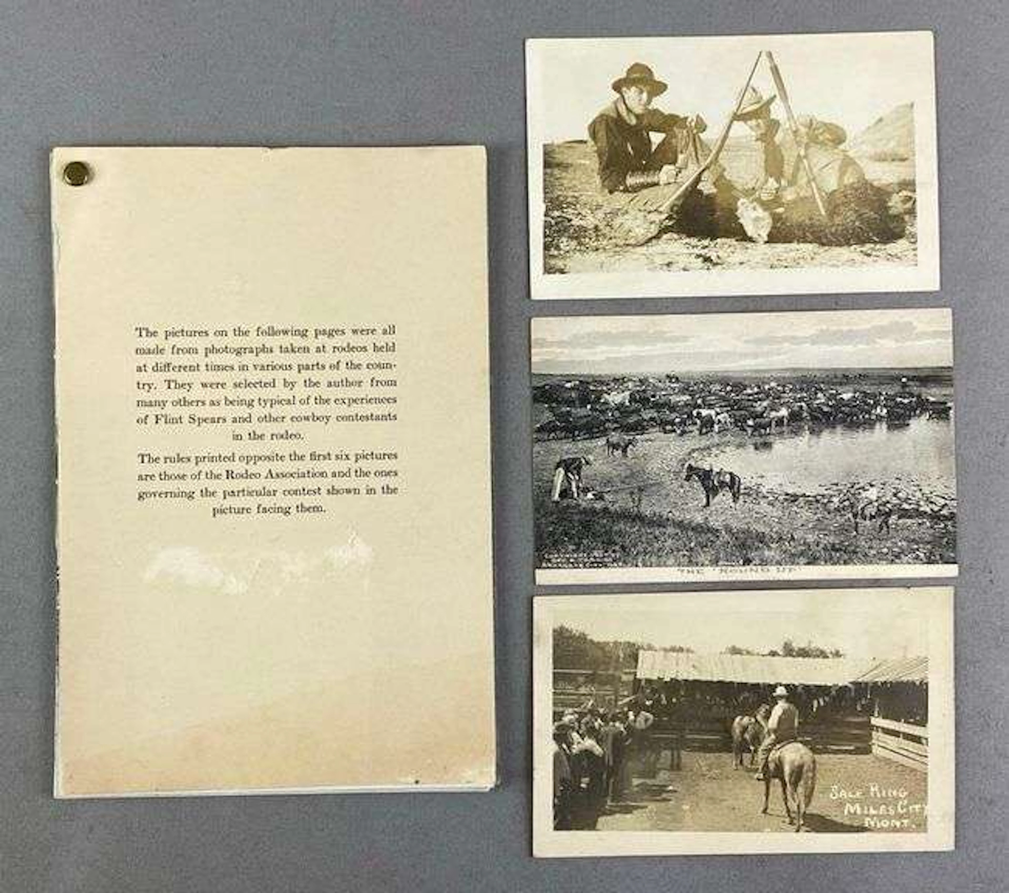 Group of 4 Rodeo Postcards and More