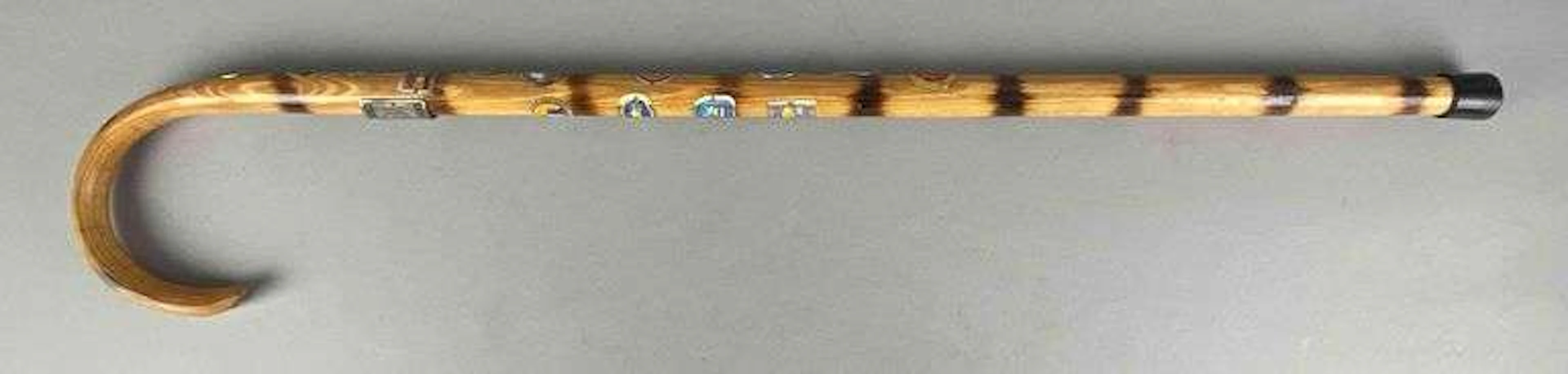 Wood Walking Stick with Assorted Boy Scouts of America Pins